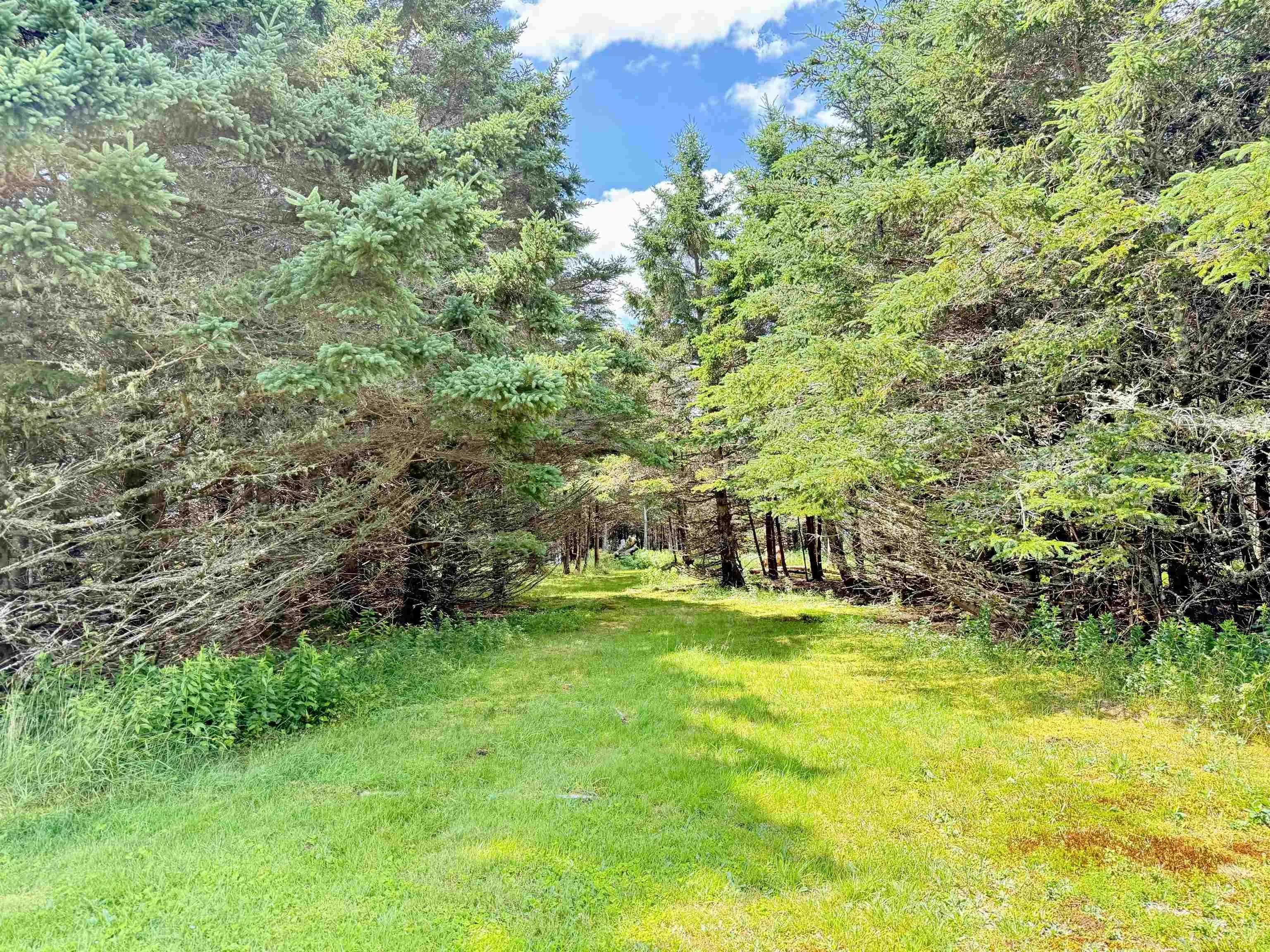 610 Little Liscomb Road, Little Liscomb, NS B0J 2A0, 4 Bedrooms Bedrooms, ,2 BathroomsBathrooms,Residential,For Sale,Little Liscomb Road,202518517