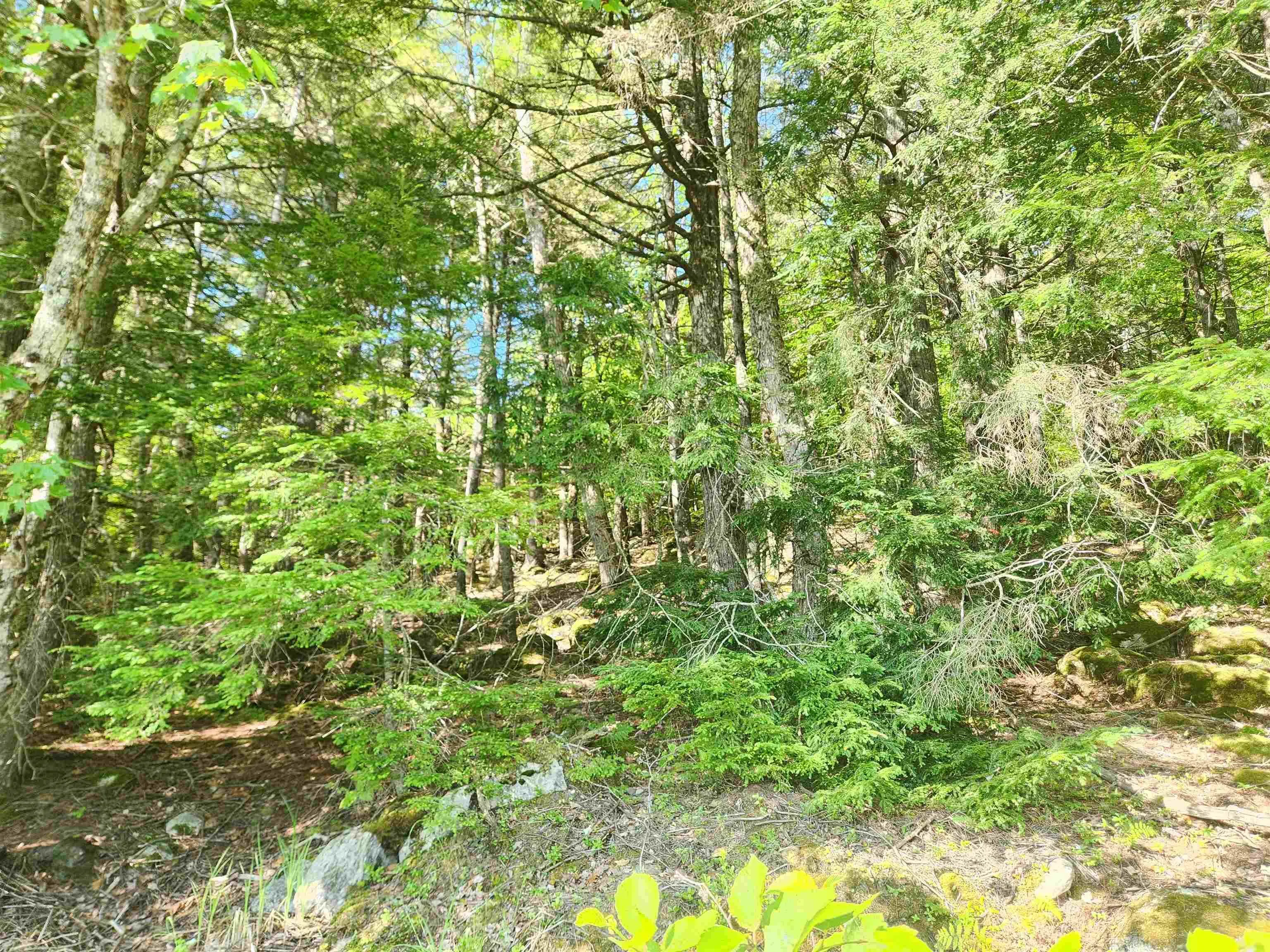 Peters Point Road Lot 1, South Brookfield, NS B0T 1X0, ,Land,For Sale,Peters Point,202521187