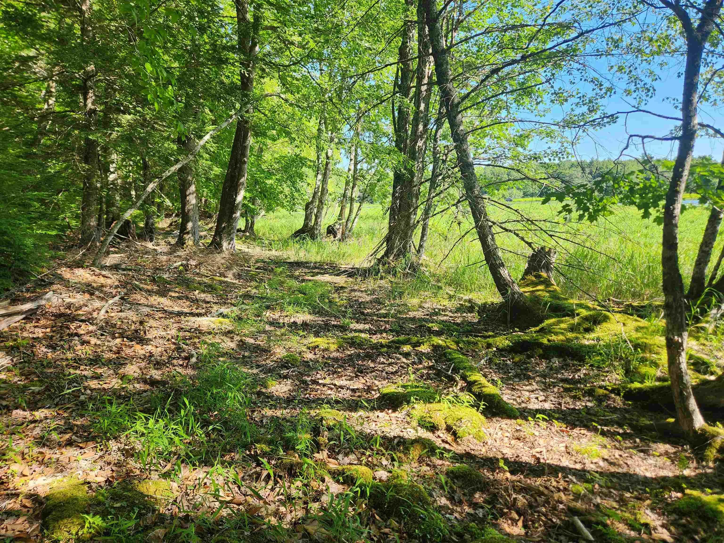 Peters Point Road Lot 1, South Brookfield, NS B0T 1X0, ,Land,For Sale,Peters Point,202521187