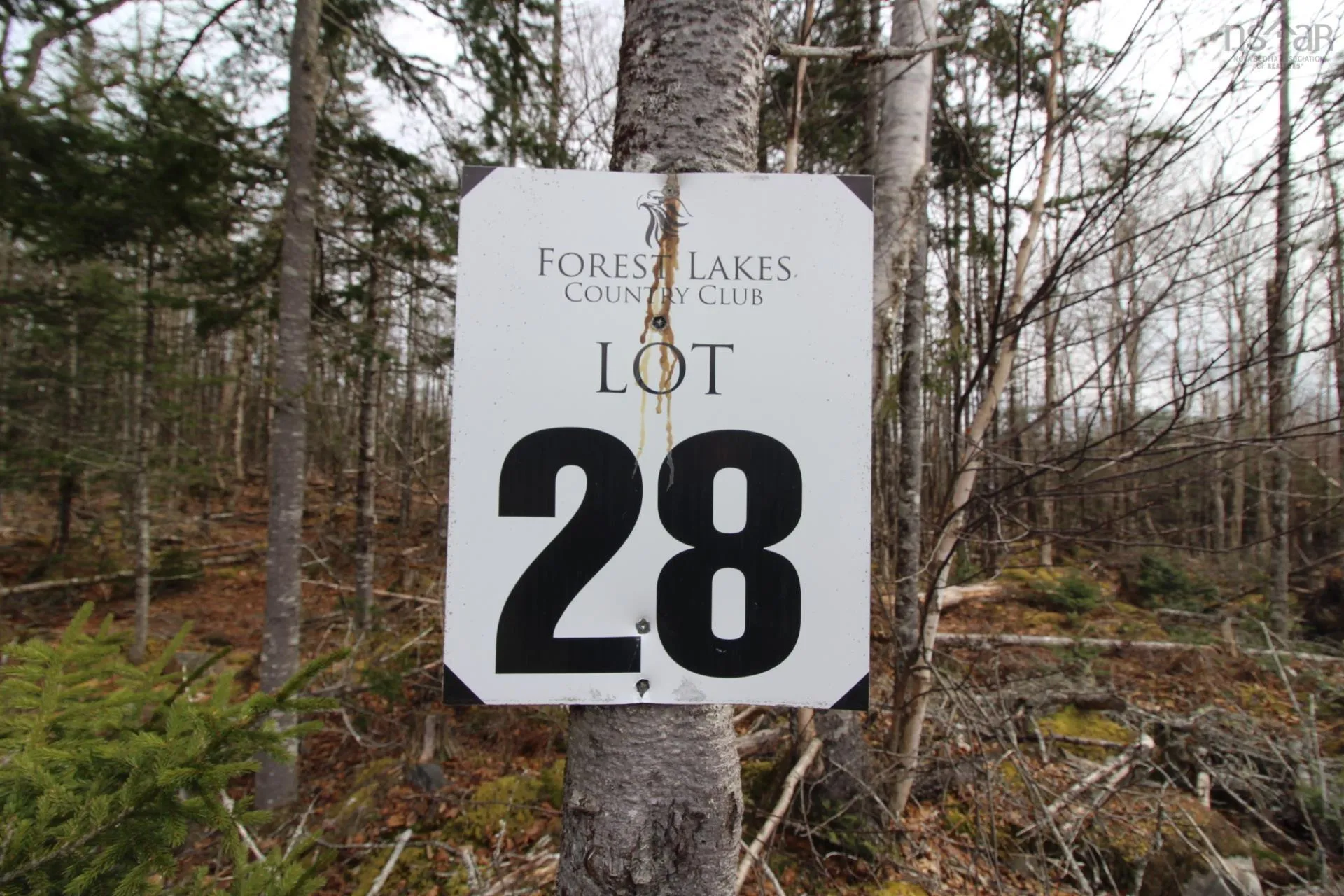 Lot 28 Highland Drive, Ardoise Ns B0n 3a0, ,Land,For Sale,Highland,202405643