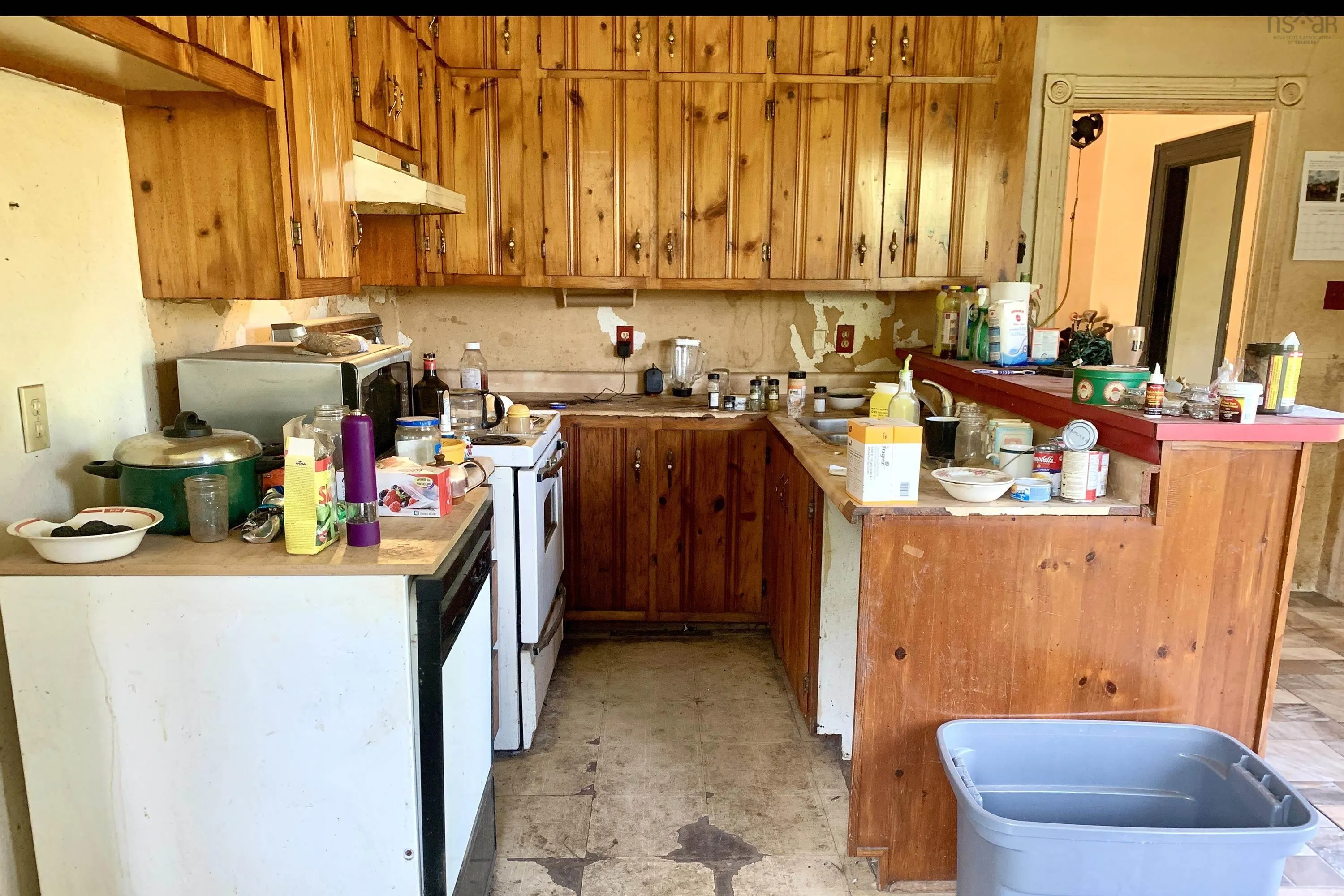 3518 Highway 321, Oxford Junction, NS B0K 1R0, 3 Bedrooms Bedrooms, ,1 BathroomBathrooms,Residential,For Sale,Highway 321,202518945