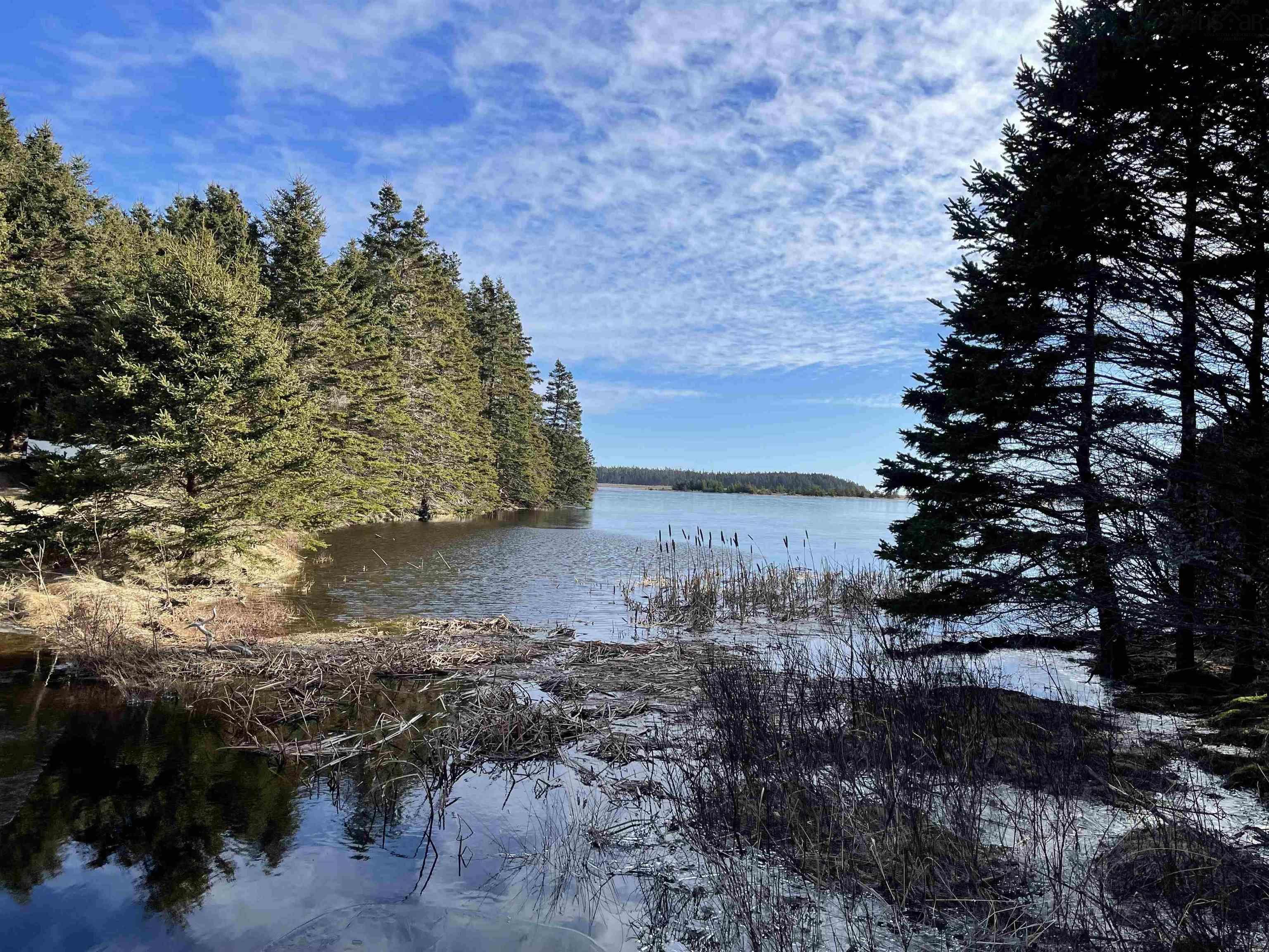 Three Island Cove Road, Rockdale NS B0E 3B0, ,Land,For Sale,Three Island Cove Road,202301404