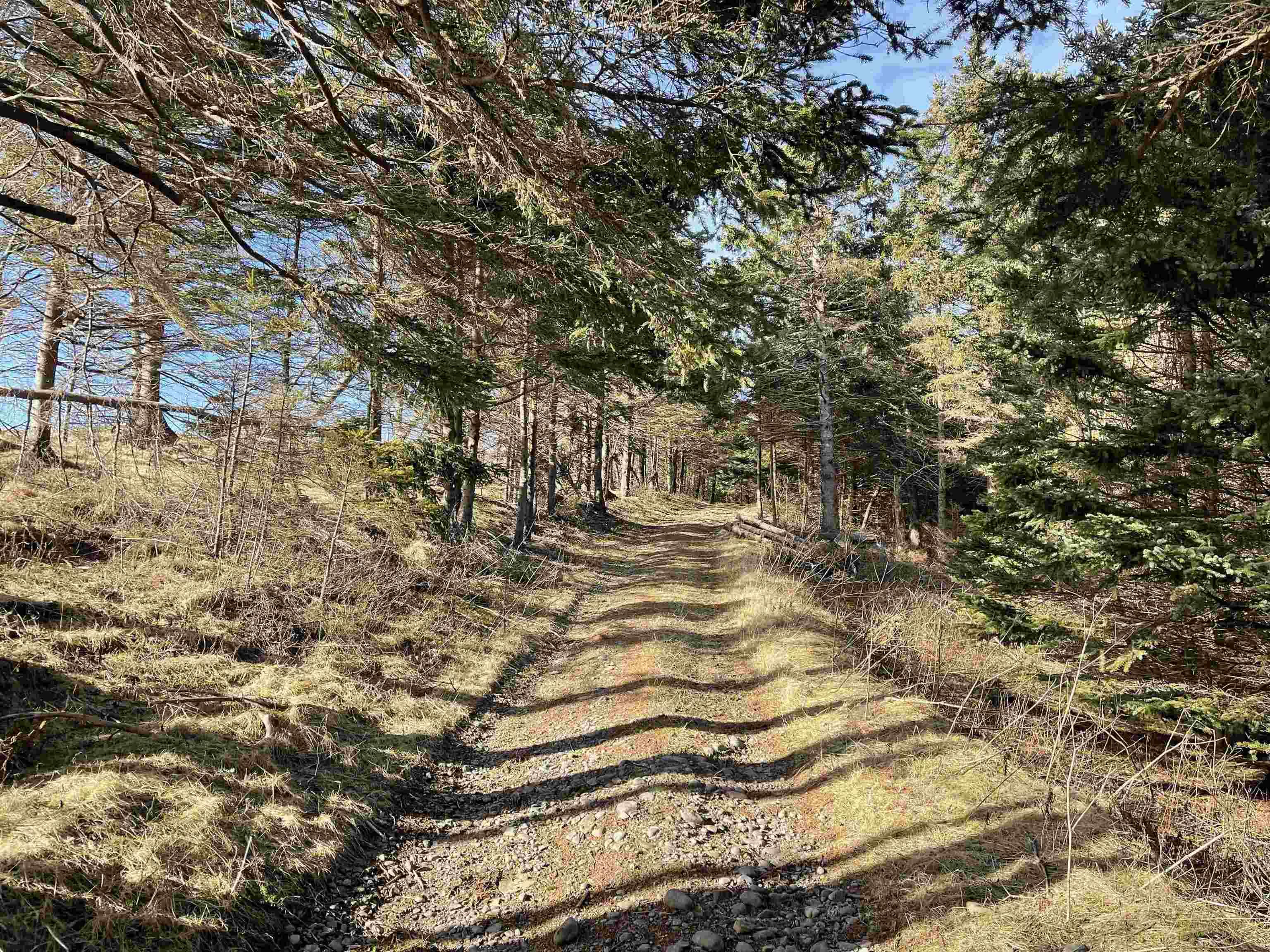 Three Island Cove Road, Rockdale NS B0E 3B0, ,Land,For Sale,Three Island Cove Road,202301404