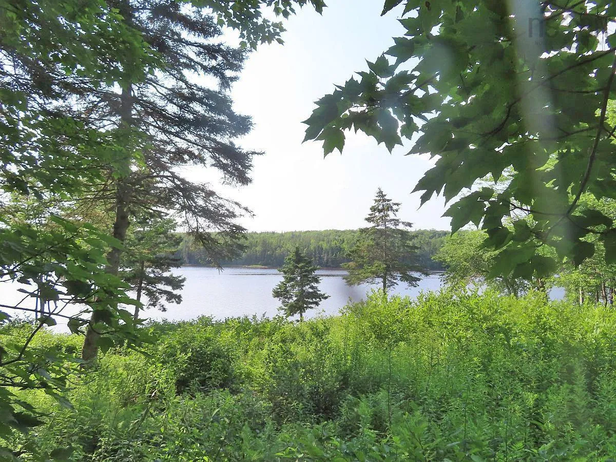 Evanston Road, Evanston Ns B0e 1j0, ,Land,For Sale,Evanston,202316013