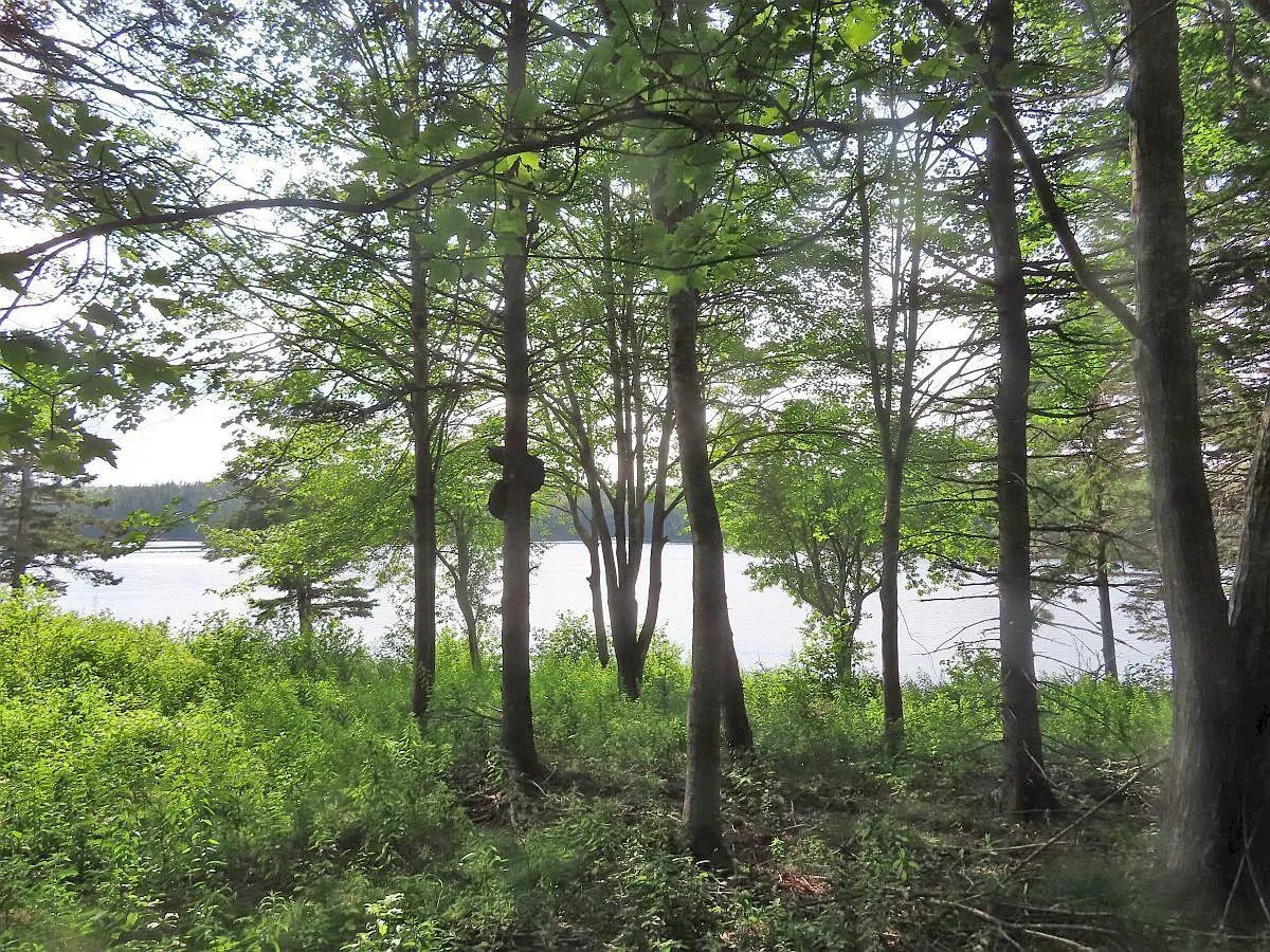 Evanston Road, Evanston Ns B0e 1j0, ,Land,For Sale,Evanston,202316013