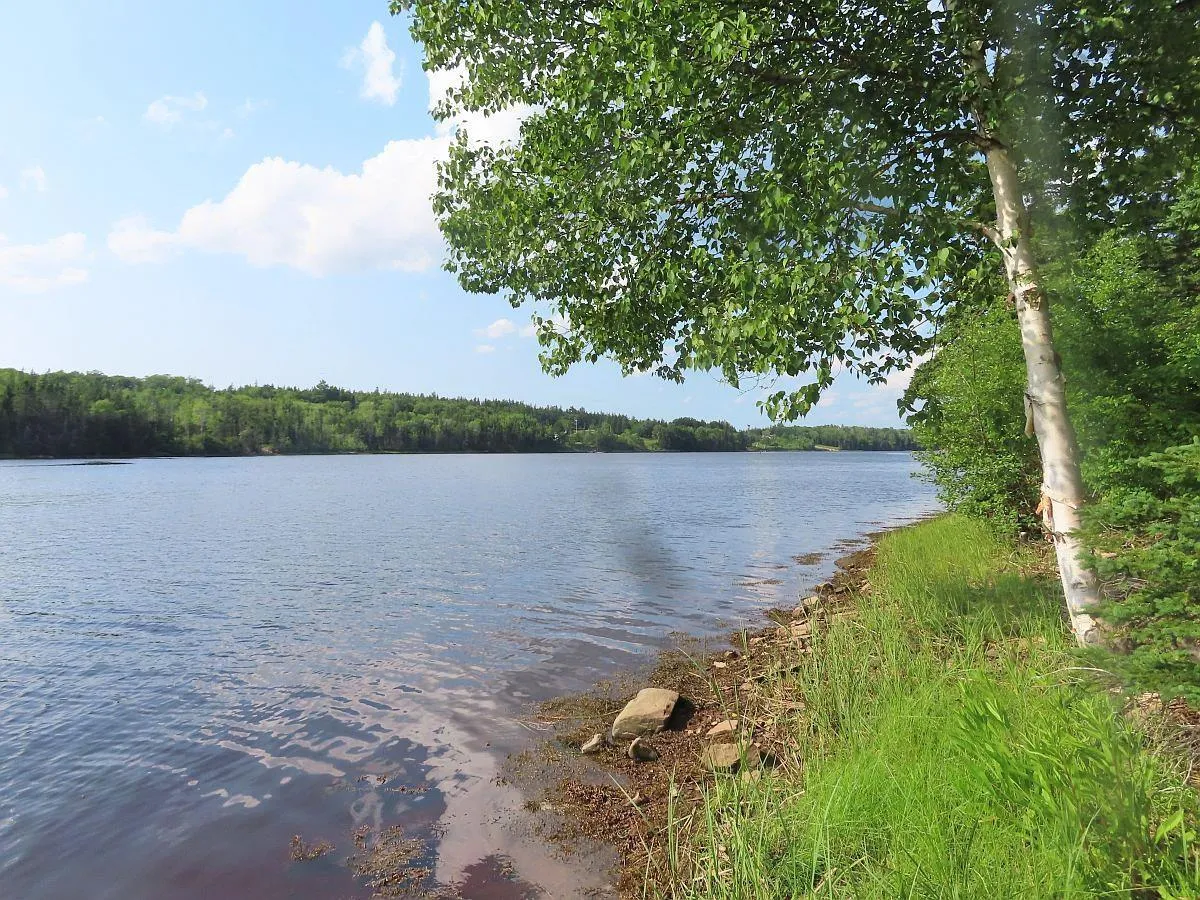 Evanston Road, Evanston Ns B0e 1j0, ,Land,For Sale,Evanston,202316013