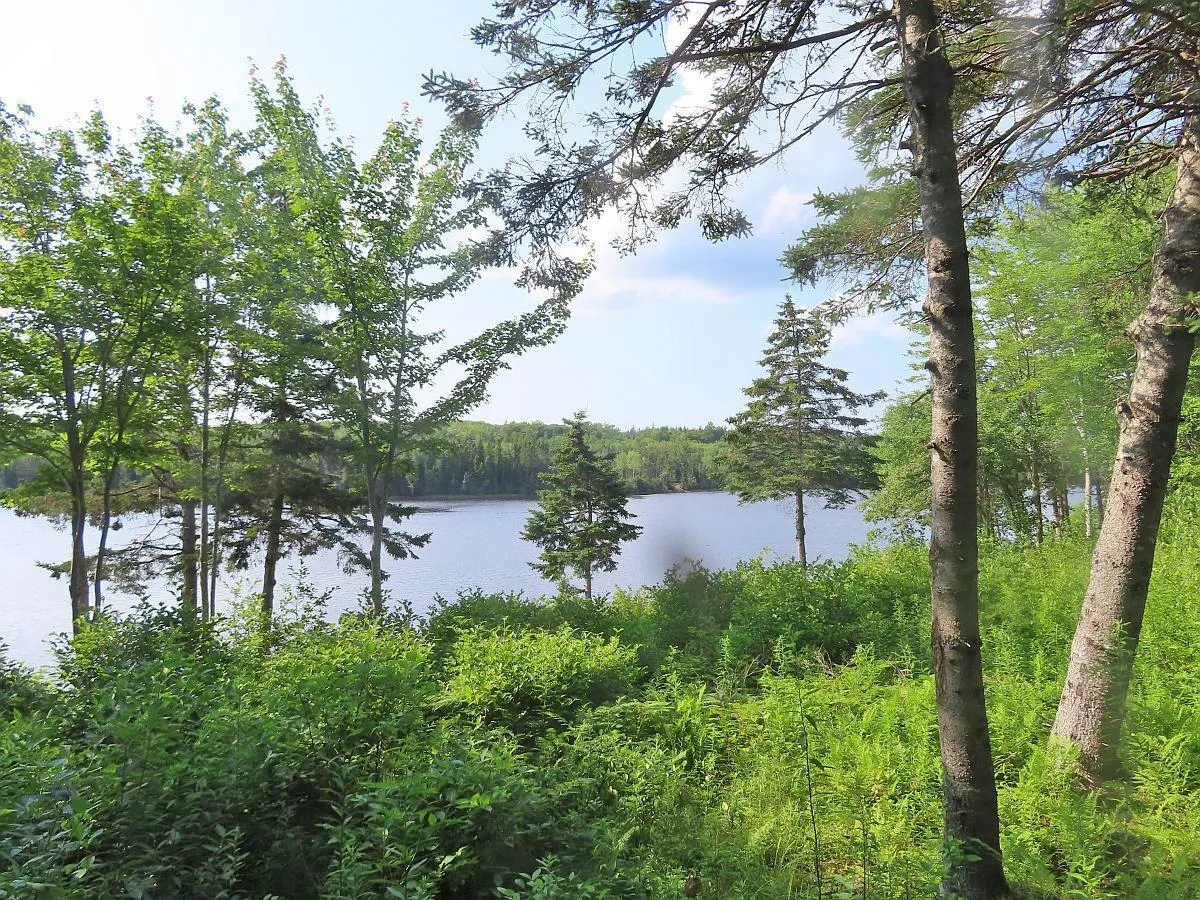 Evanston Road, Evanston Ns B0e 1j0, ,Land,For Sale,Evanston,202316013