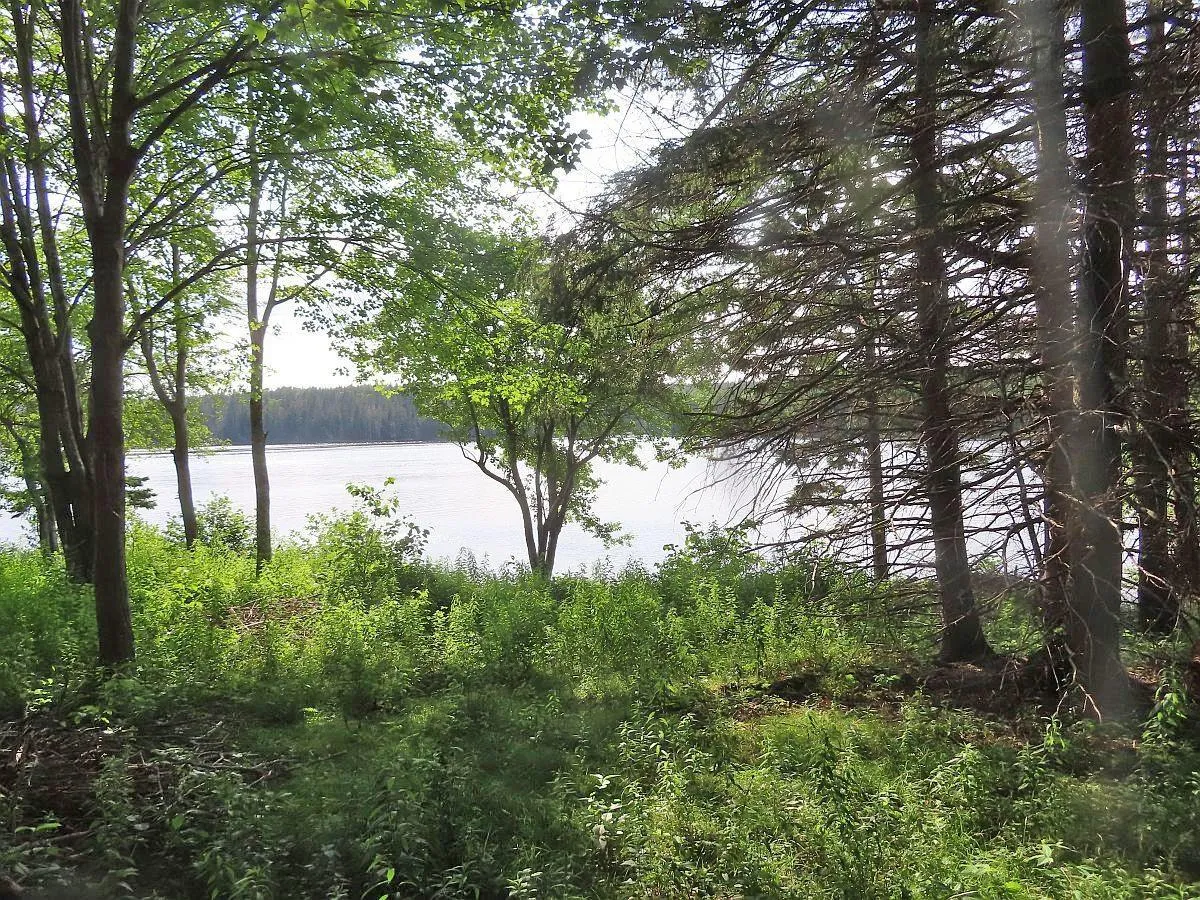 Evanston Road, Evanston Ns B0e 1j0, ,Land,For Sale,Evanston,202316013