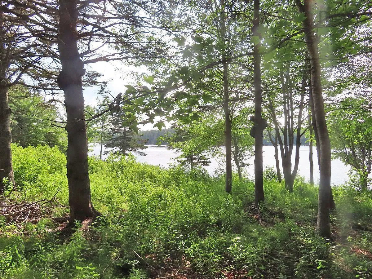 Evanston Road, Evanston Ns B0e 1j0, ,Land,For Sale,Evanston,202316013