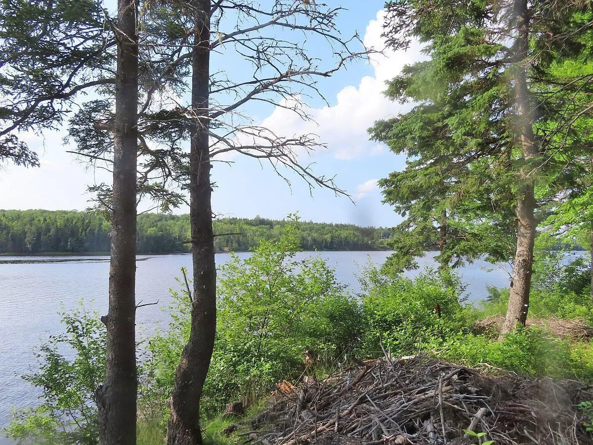 Evanston Road, Evanston Ns B0e 1j0, ,Land,For Sale,Evanston,202316013