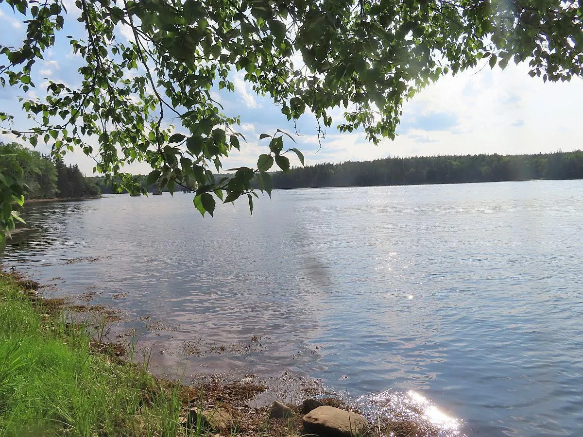 Evanston Road, Evanston Ns B0e 1j0, ,Land,For Sale,Evanston,202316013