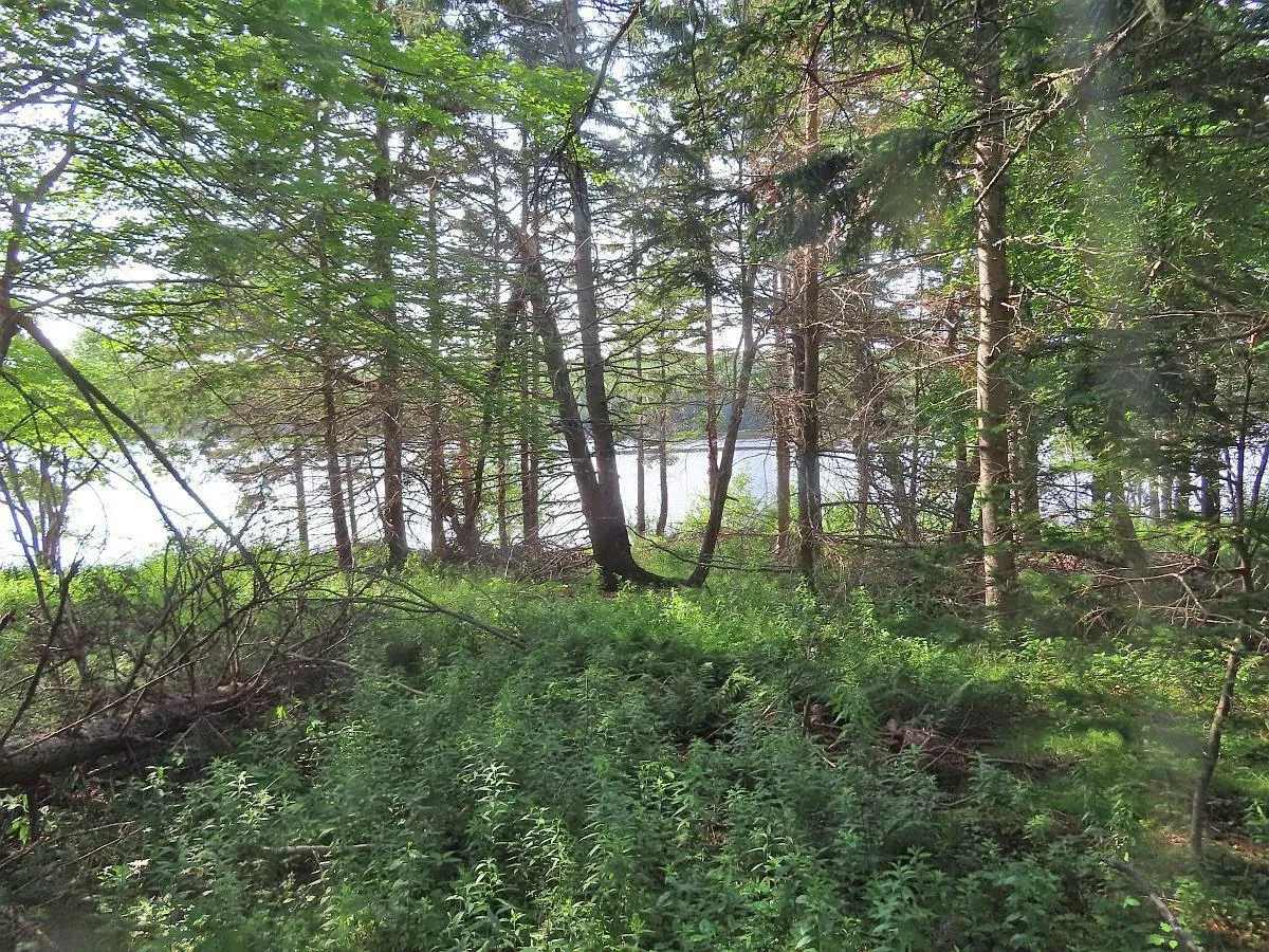 Evanston Road, Evanston Ns B0e 1j0, ,Land,For Sale,Evanston,202316013