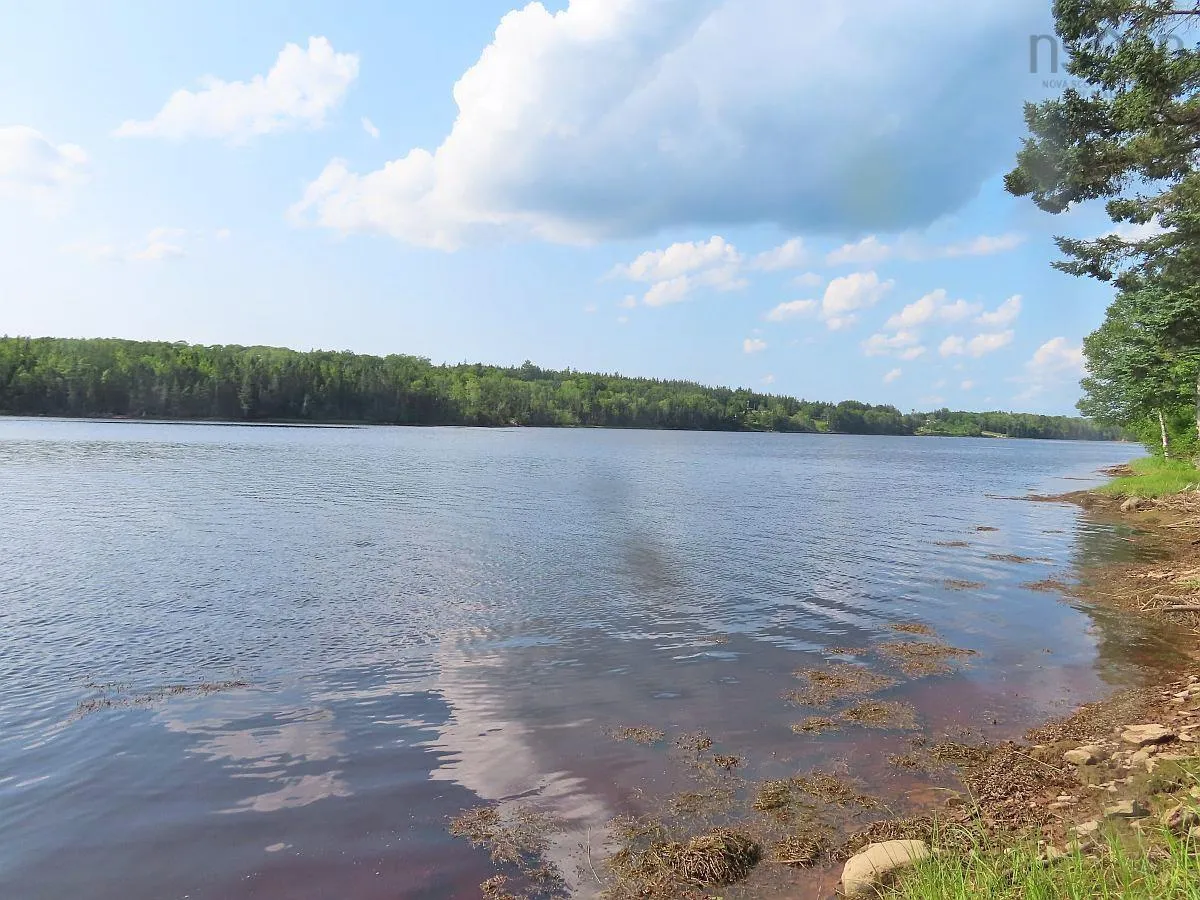 Evanston Road, Evanston Ns B0e 1j0, ,Land,For Sale,Evanston,202316013