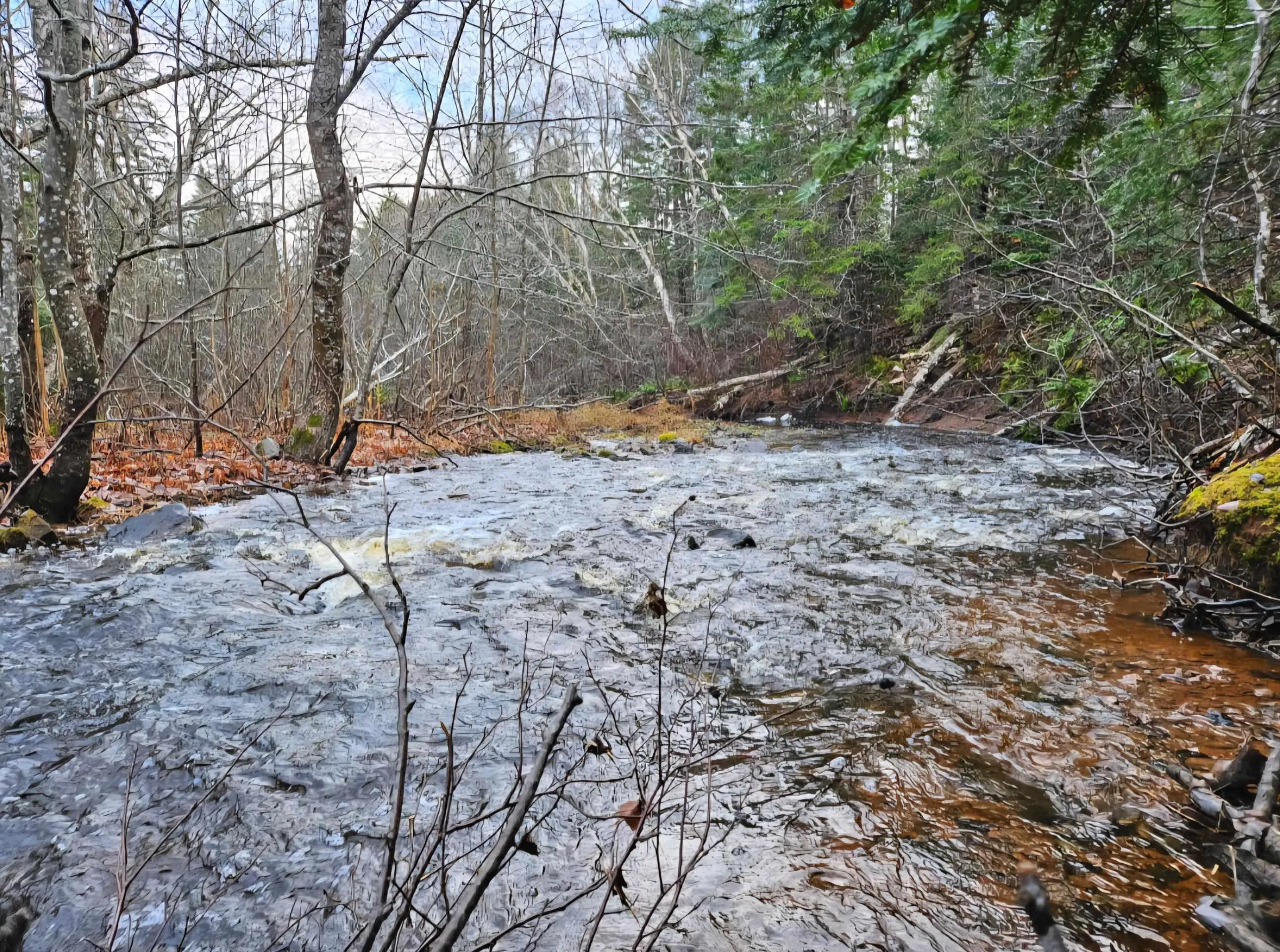 Lot 25-4 Highway #368, Wentworth, NS B0M 1Z0, ,Land,For Sale,Highway #368,202521737