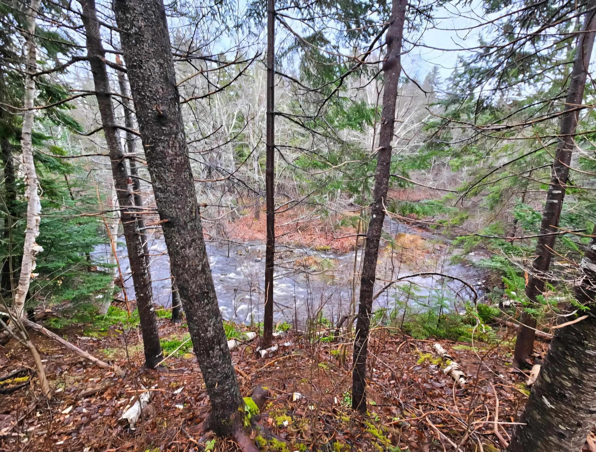 Lot 25-4 Highway #368, Wentworth, NS B0M 1Z0, ,Land,For Sale,Highway #368,202521737