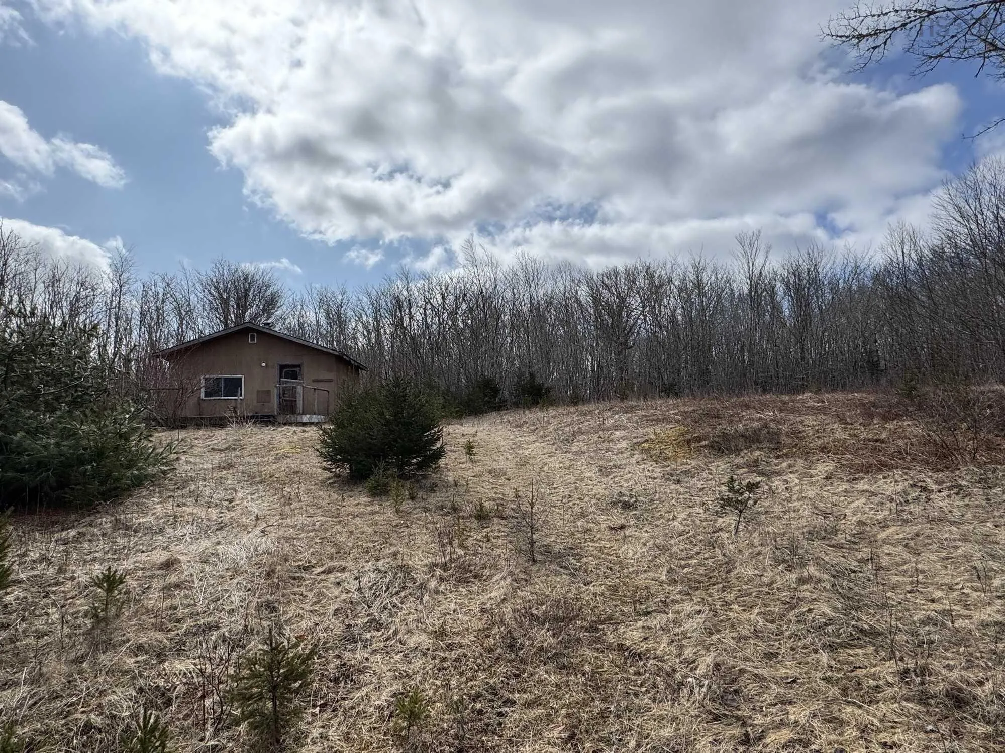 257 Birch Road, Guysborough Ns B0h 1n0, ,Land,For Sale,Birch,202507683