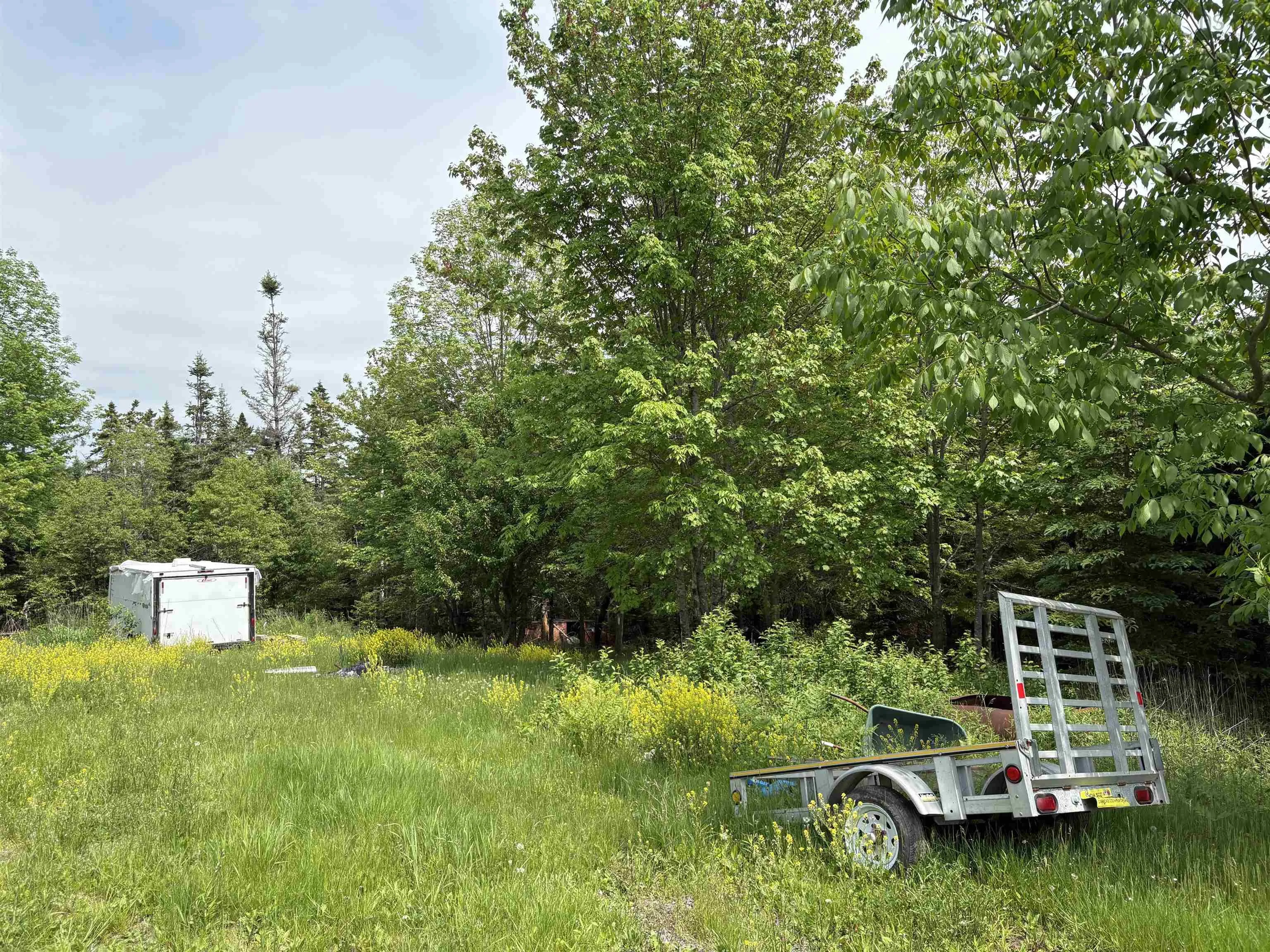 14422 Hwy 224 Road, Cooks Brook, NS B0N 2H0, 3 Bedrooms Bedrooms, ,2 BathroomsBathrooms,Residential,For Sale,Hwy 224,202518275