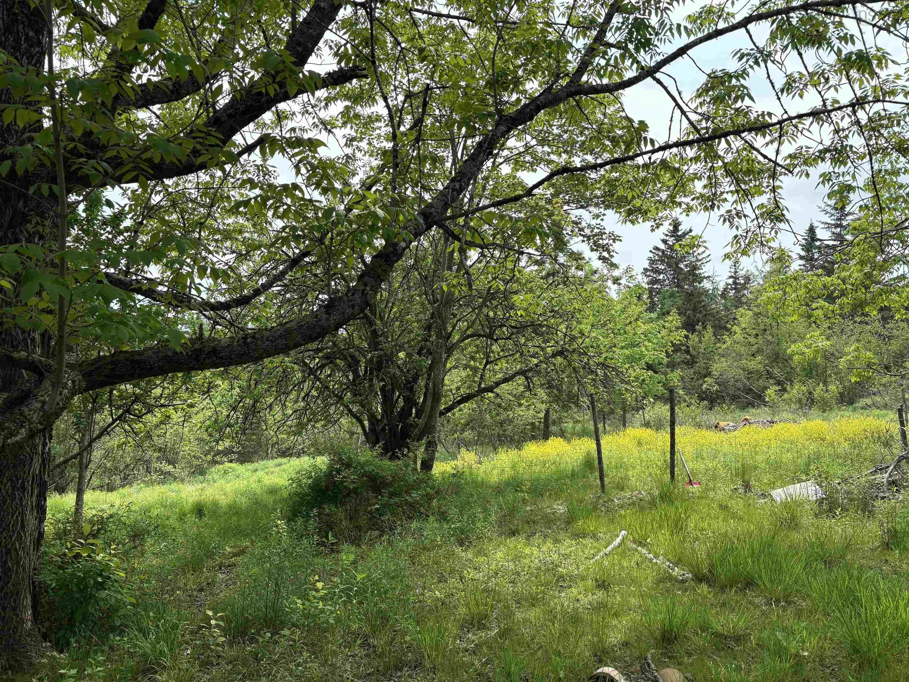 14422 Hwy 224 Road, Cooks Brook, NS B0N 2H0, 3 Bedrooms Bedrooms, ,2 BathroomsBathrooms,Residential,For Sale,Hwy 224,202518275