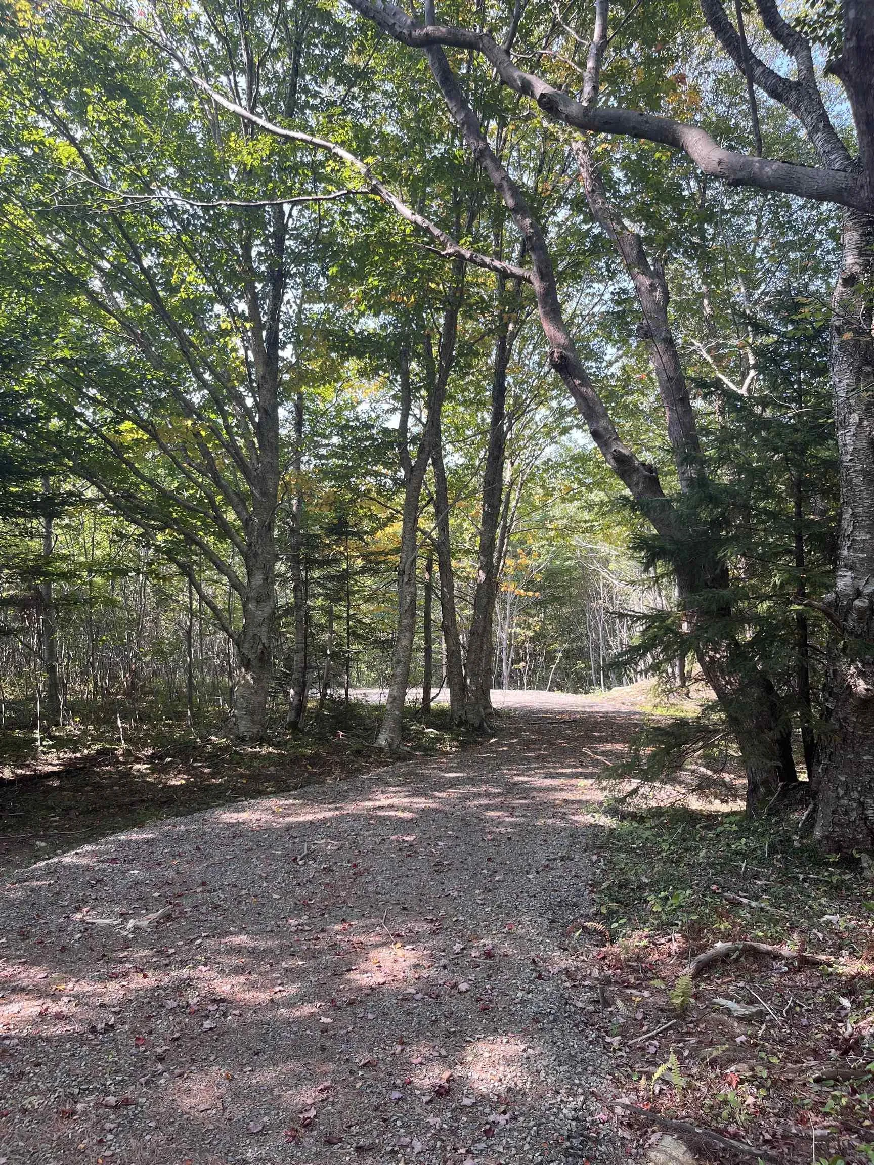 Highway Lot 340, Hassett Ns B0w 3t0, ,Land,For Sale,Highway,202422587