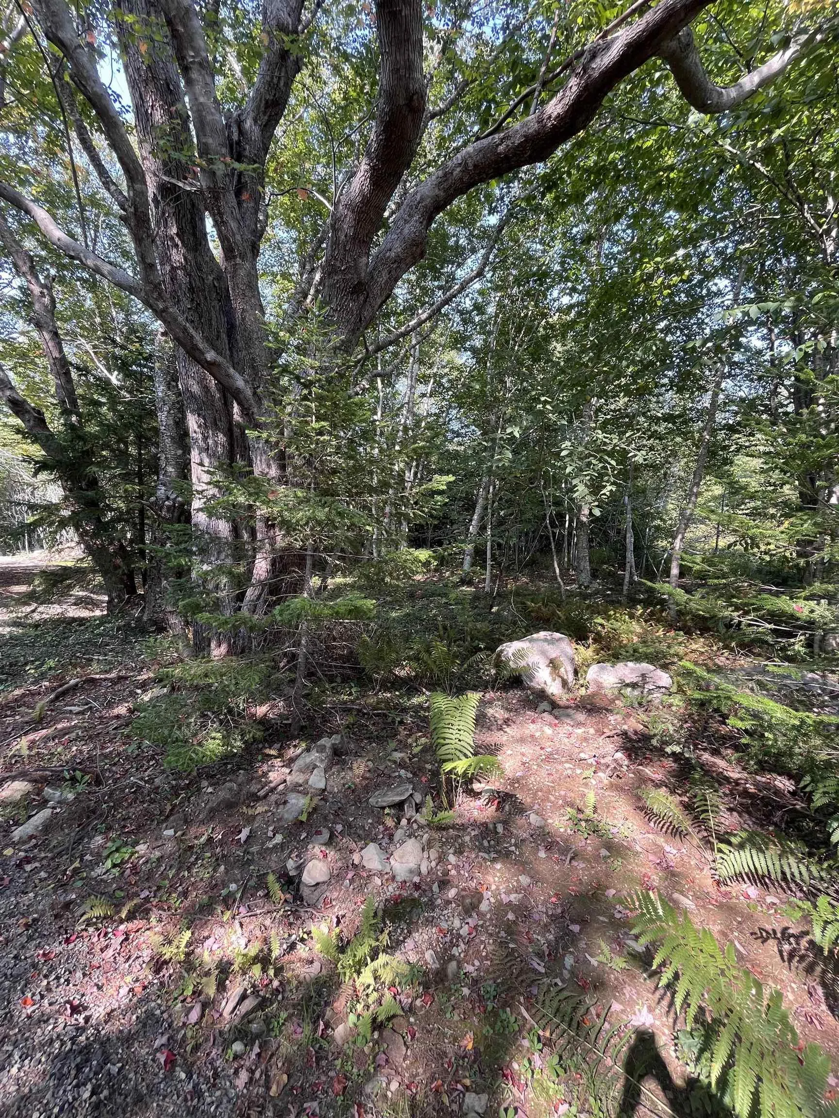 Highway Lot 340, Hassett Ns B0w 3t0, ,Land,For Sale,Highway,202422587