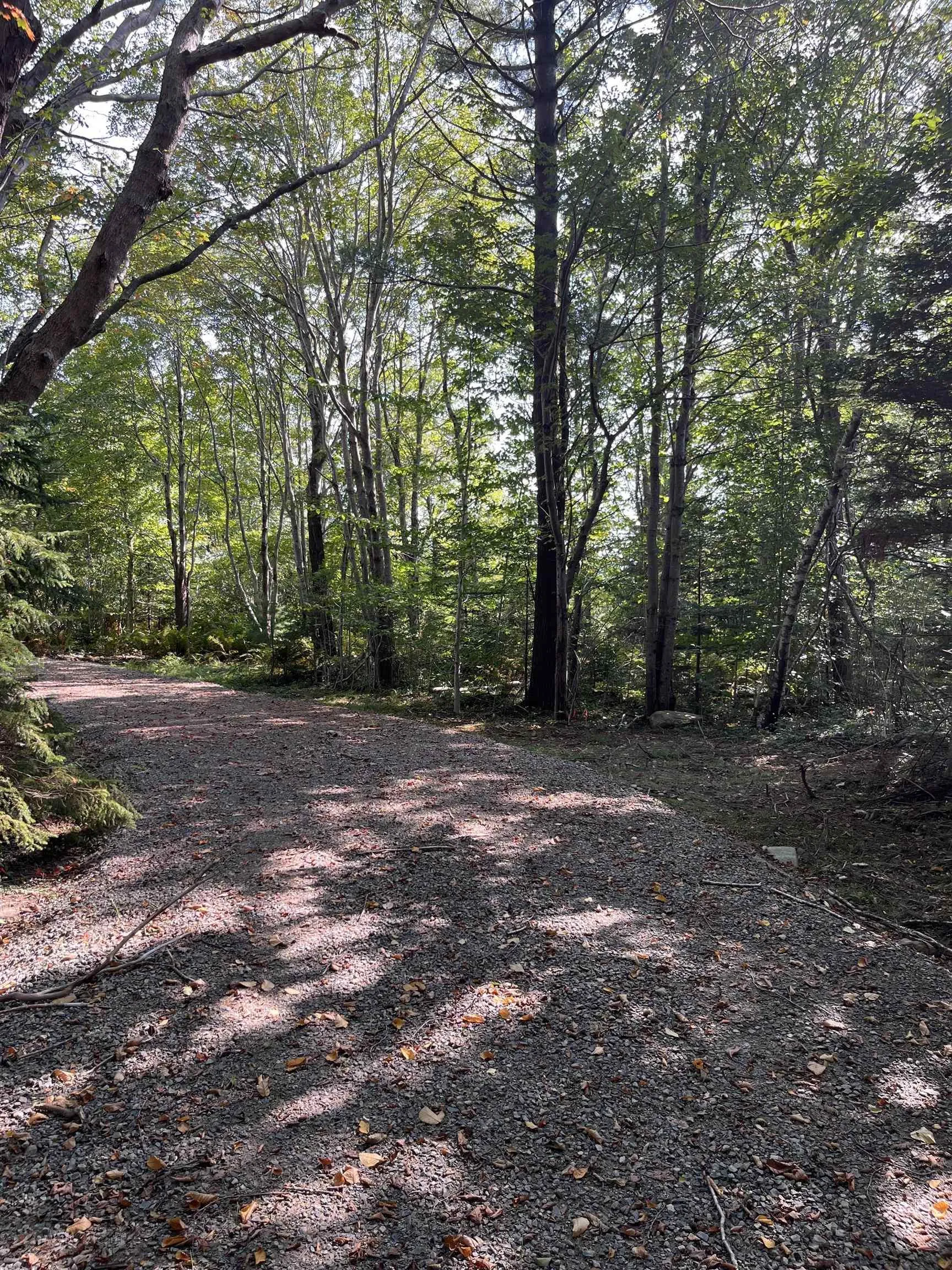 Highway Lot 340, Hassett Ns B0w 3t0, ,Land,For Sale,Highway,202422587