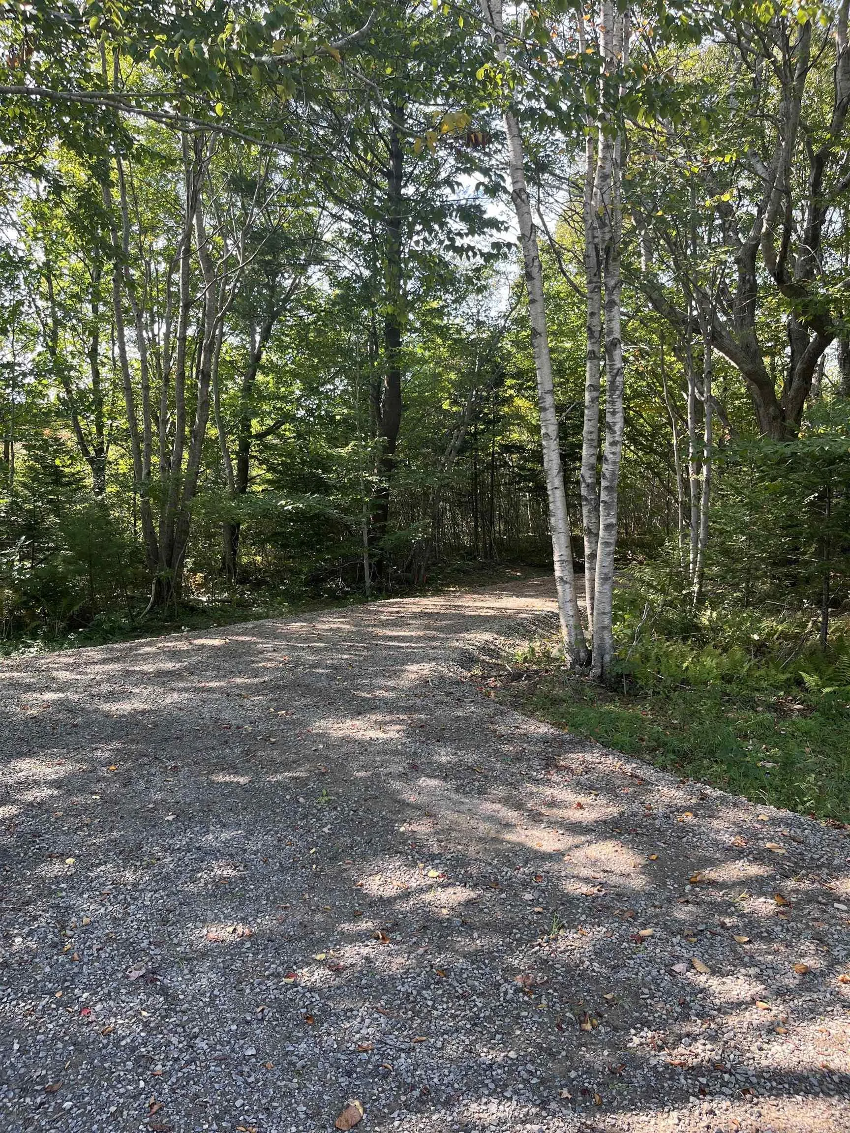 Highway Lot 340, Hassett Ns B0w 3t0, ,Land,For Sale,Highway,202422587
