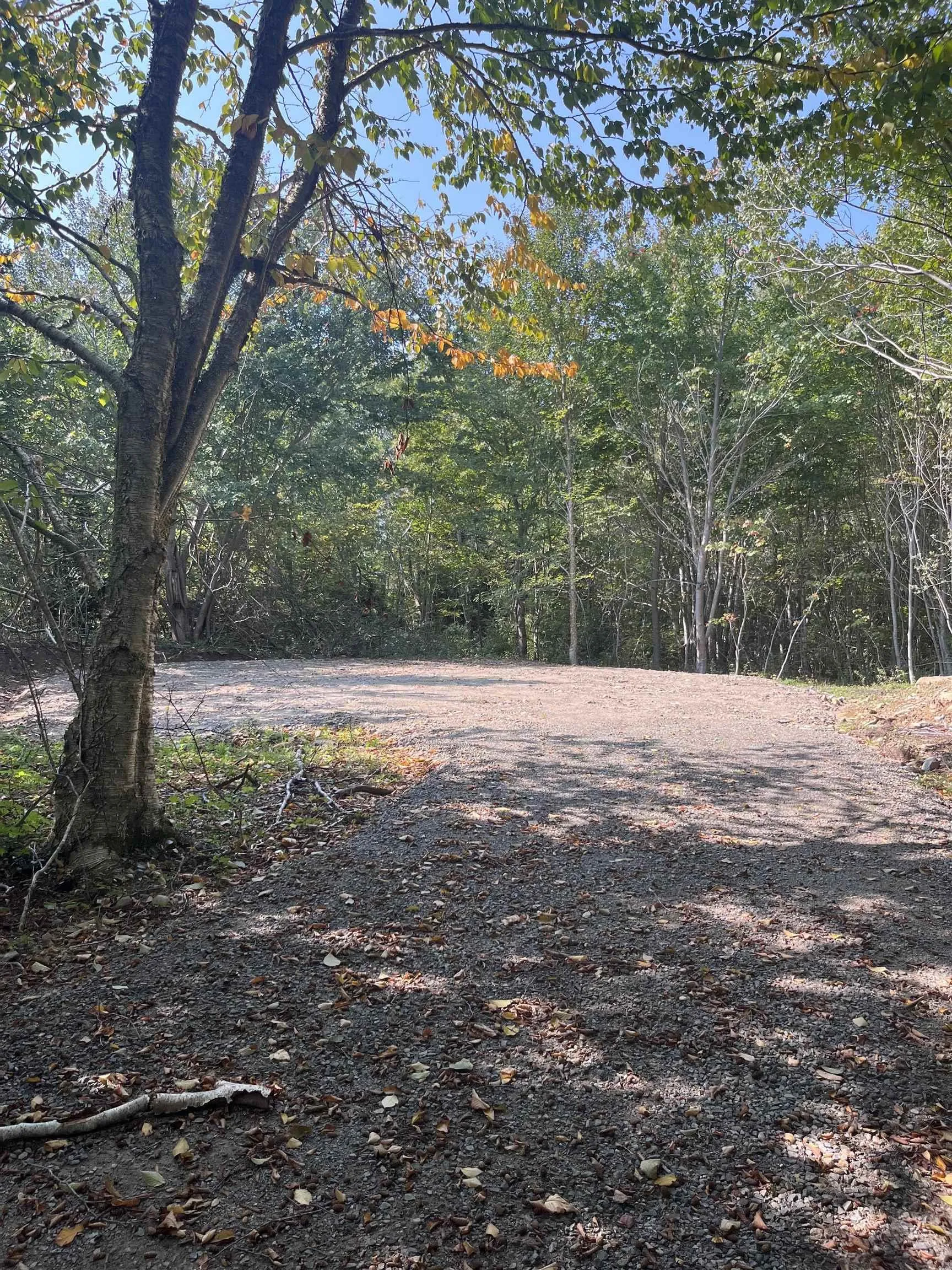 Highway Lot 340, Hassett Ns B0w 3t0, ,Land,For Sale,Highway,202422587