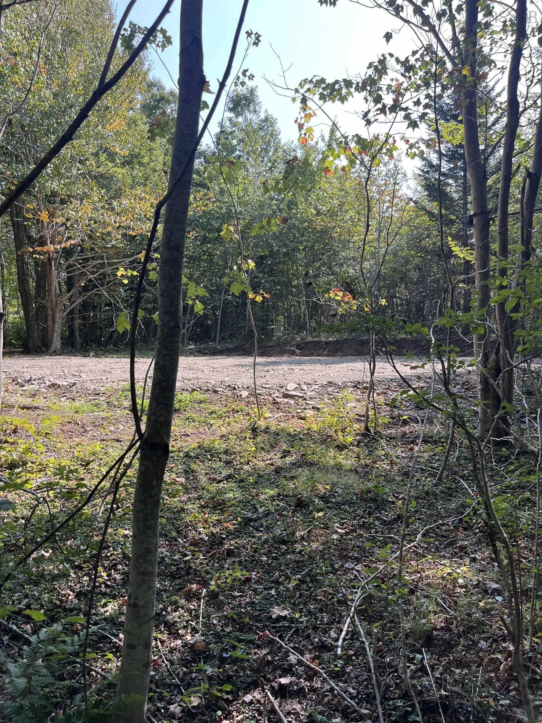 Highway Lot 340, Hassett Ns B0w 3t0, ,Land,For Sale,Highway,202422587