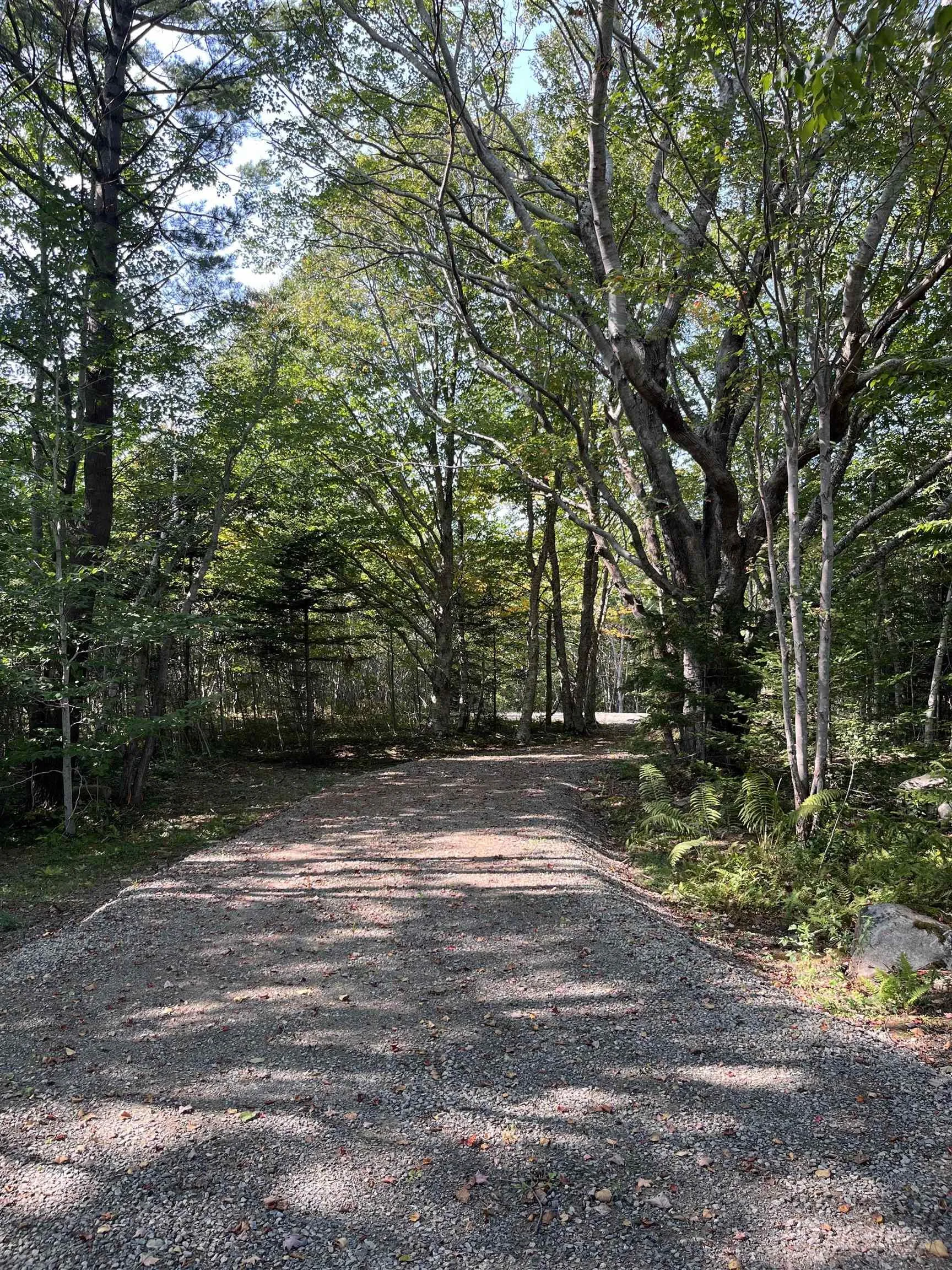Highway Lot 340, Hassett Ns B0w 3t0, ,Land,For Sale,Highway,202422587