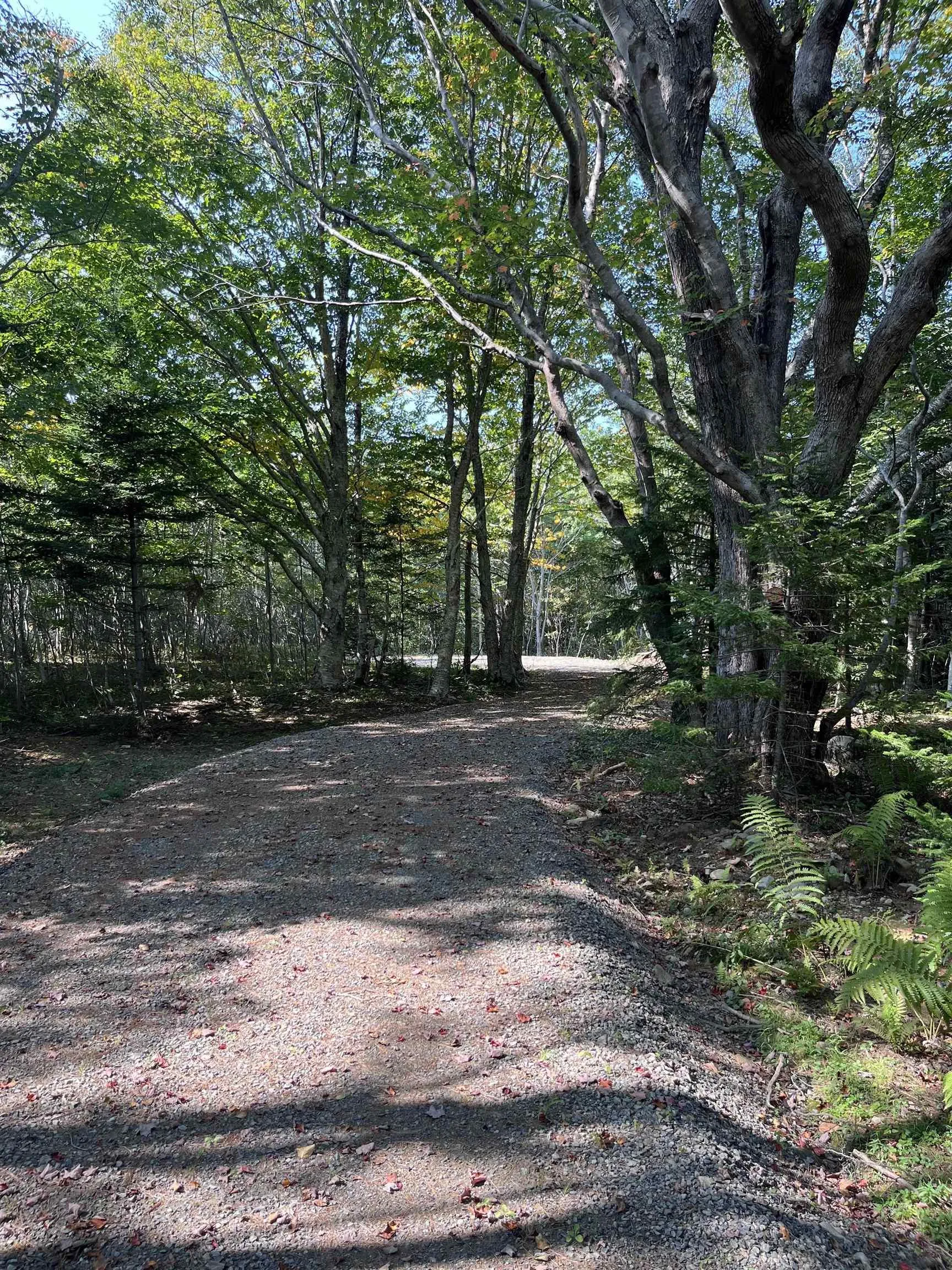Highway Lot 340, Hassett Ns B0w 3t0, ,Land,For Sale,Highway,202422587