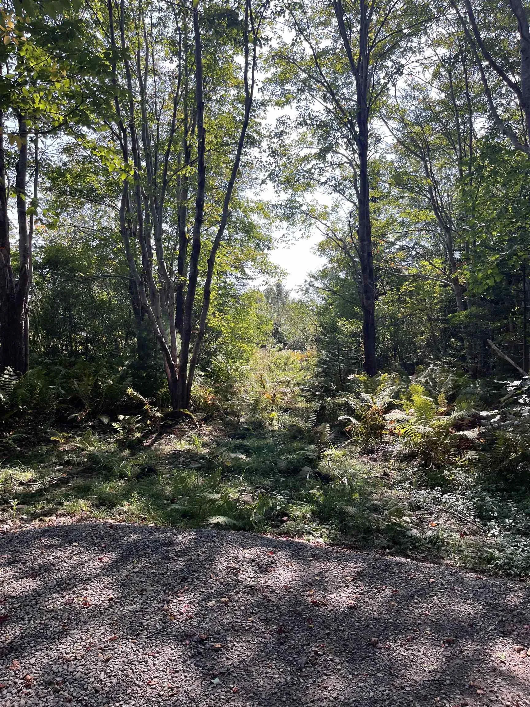Highway Lot 340, Hassett Ns B0w 3t0, ,Land,For Sale,Highway,202422587