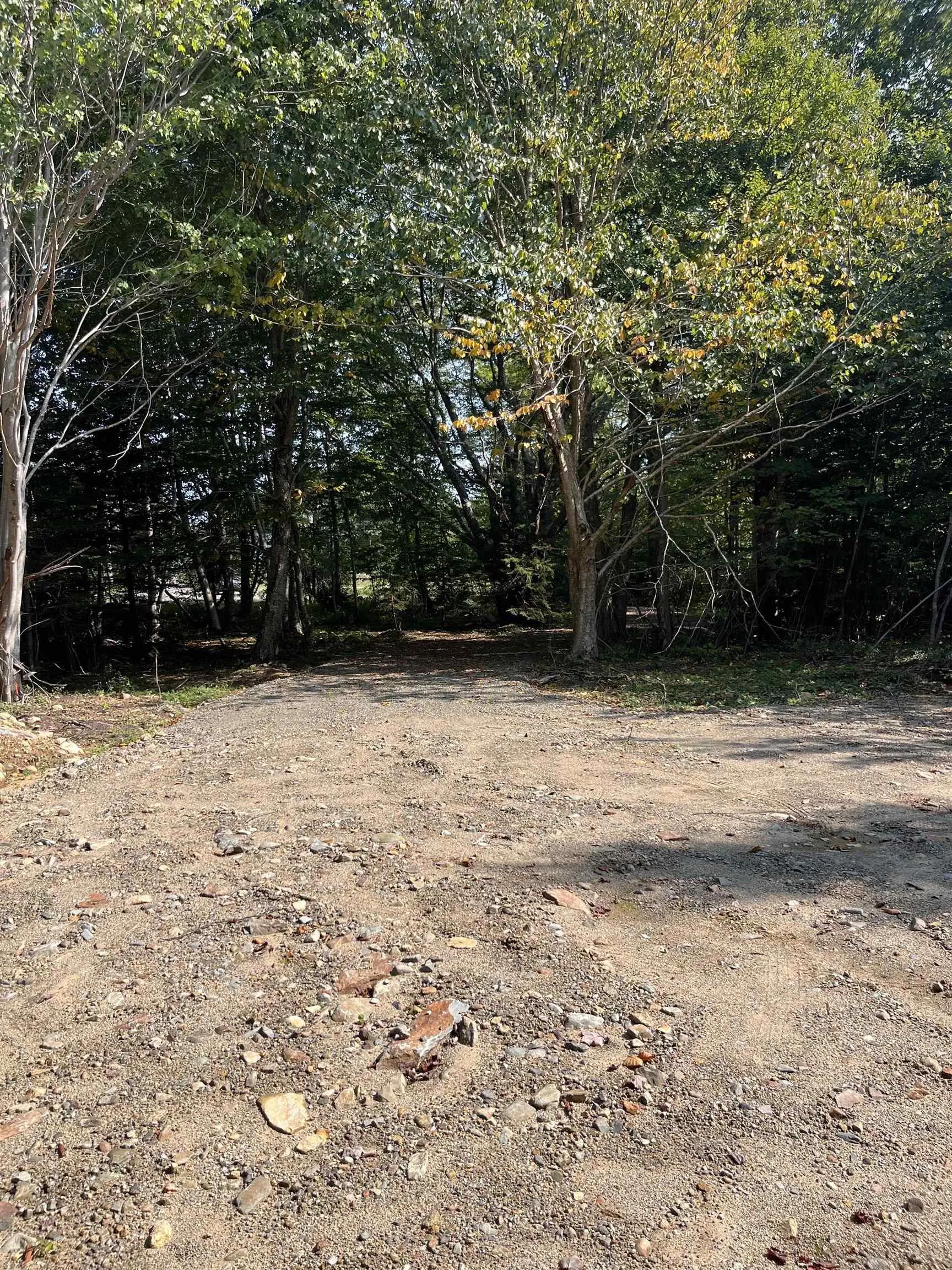 Highway Lot 340, Hassett Ns B0w 3t0, ,Land,For Sale,Highway,202422587
