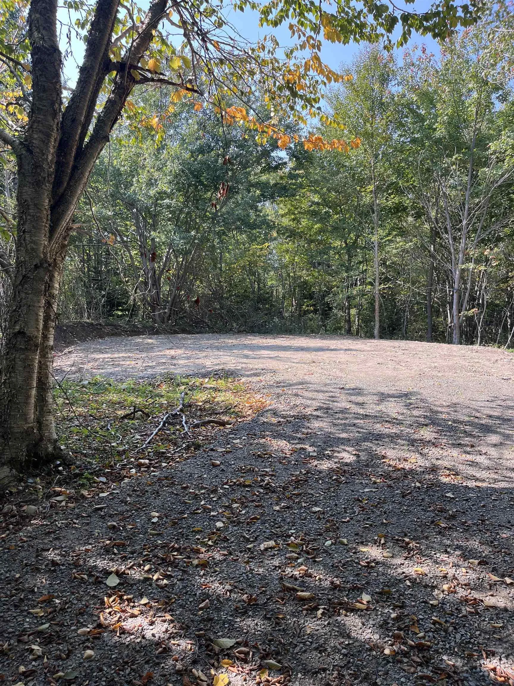 Highway Lot 340, Hassett Ns B0w 3t0, ,Land,For Sale,Highway,202422587