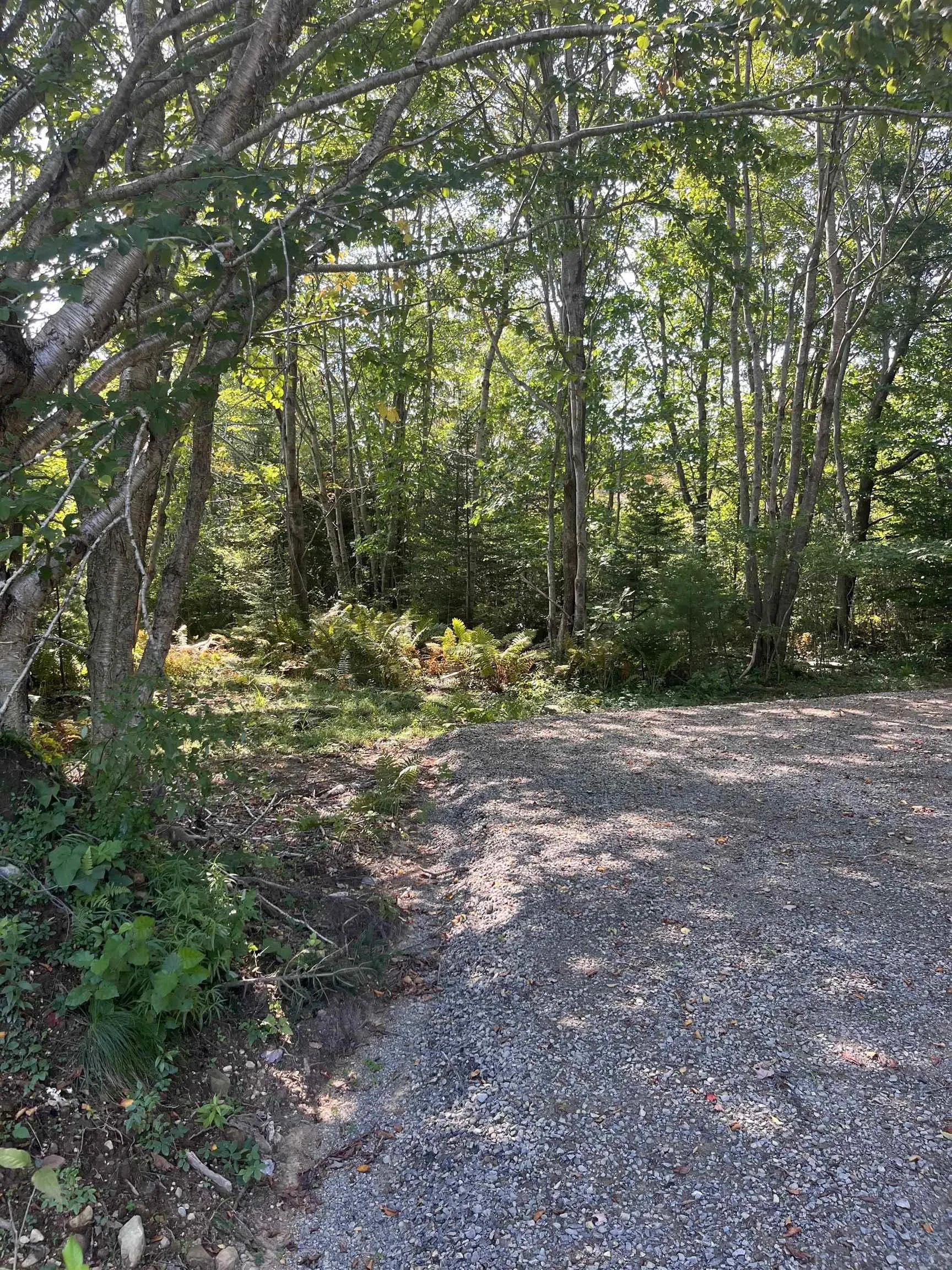 Highway Lot 340, Hassett Ns B0w 3t0, ,Land,For Sale,Highway,202422587