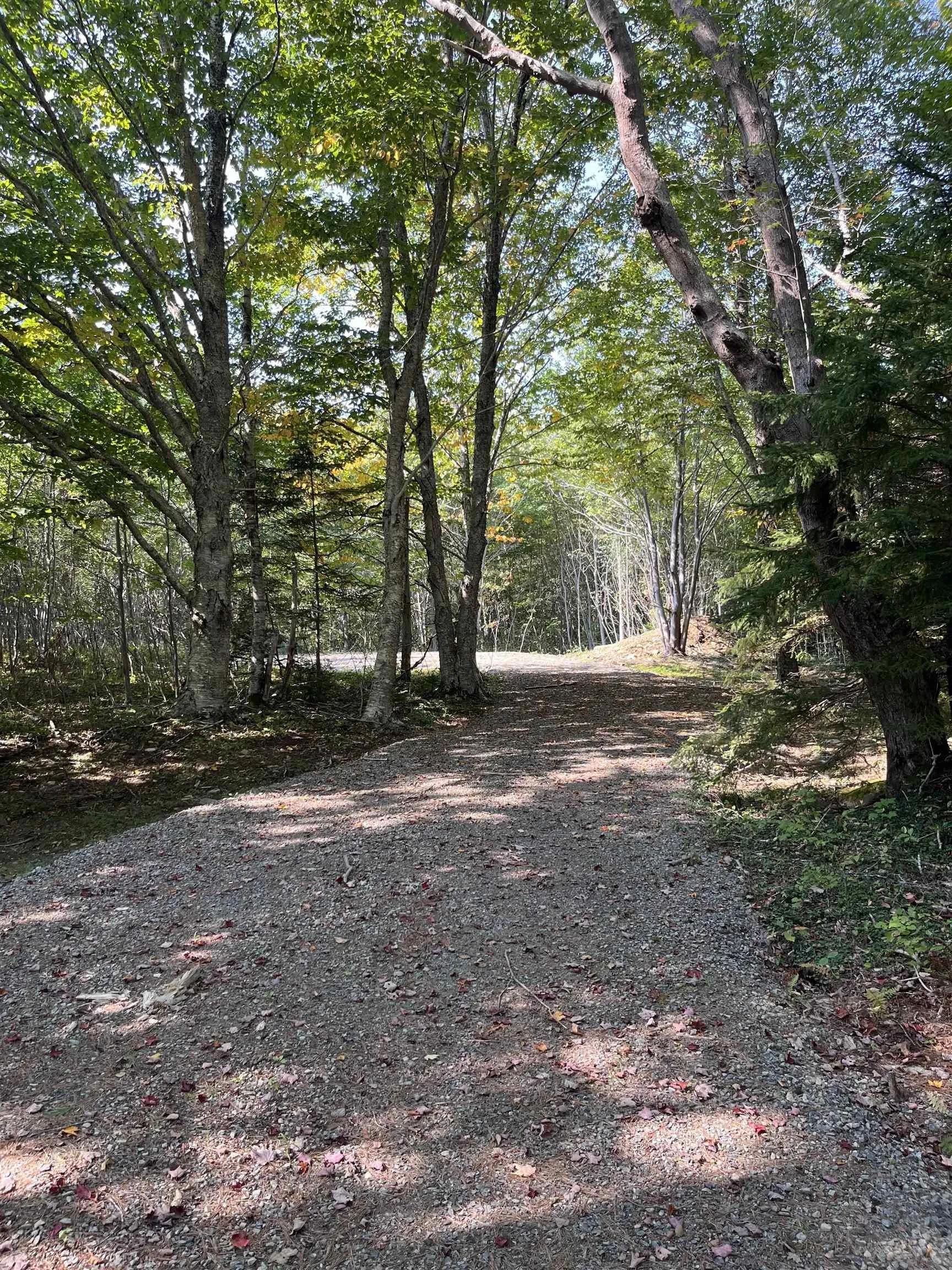 Highway Lot 340, Hassett Ns B0w 3t0, ,Land,For Sale,Highway,202422587