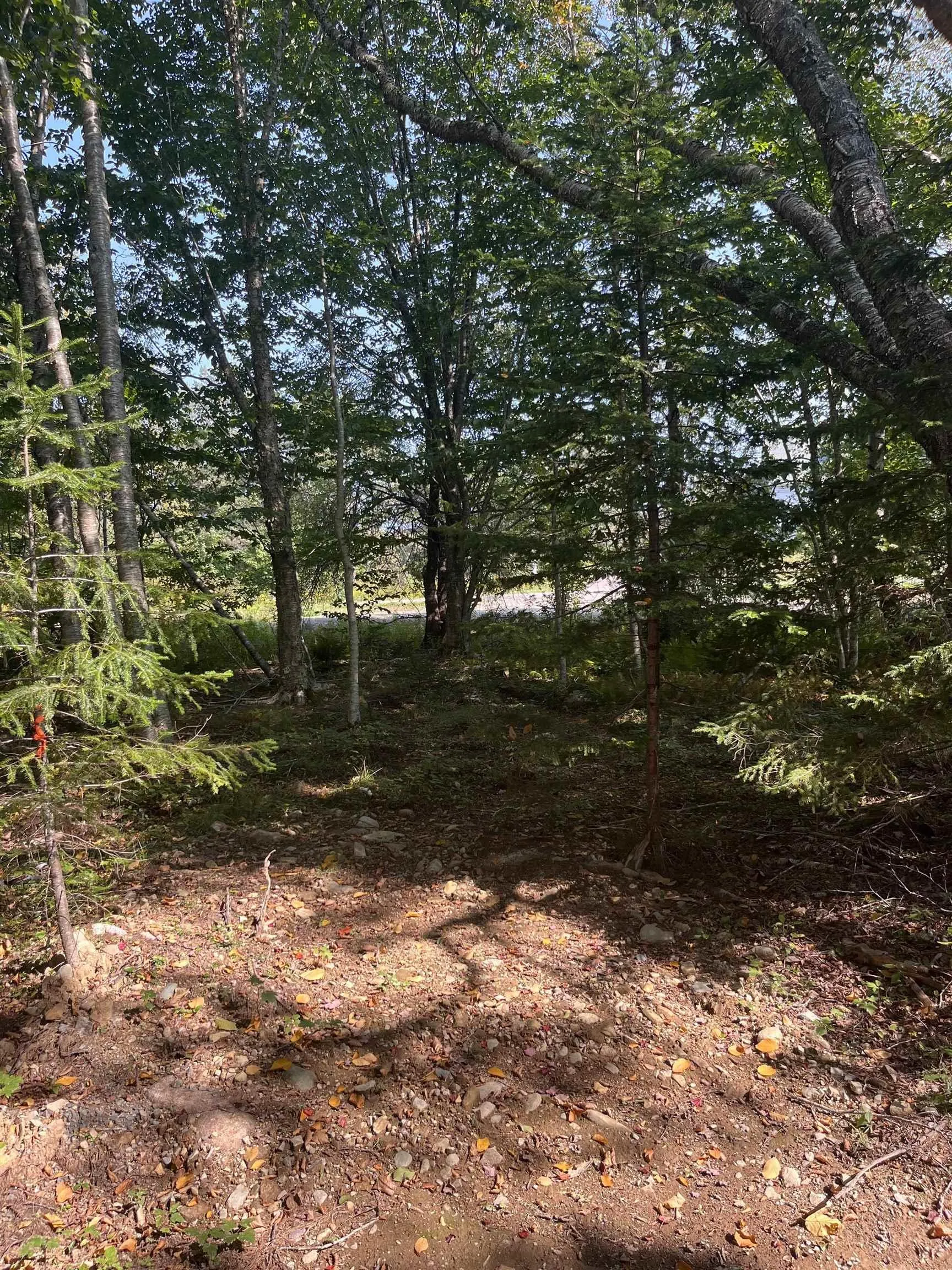 Highway Lot 340, Hassett Ns B0w 3t0, ,Land,For Sale,Highway,202422587