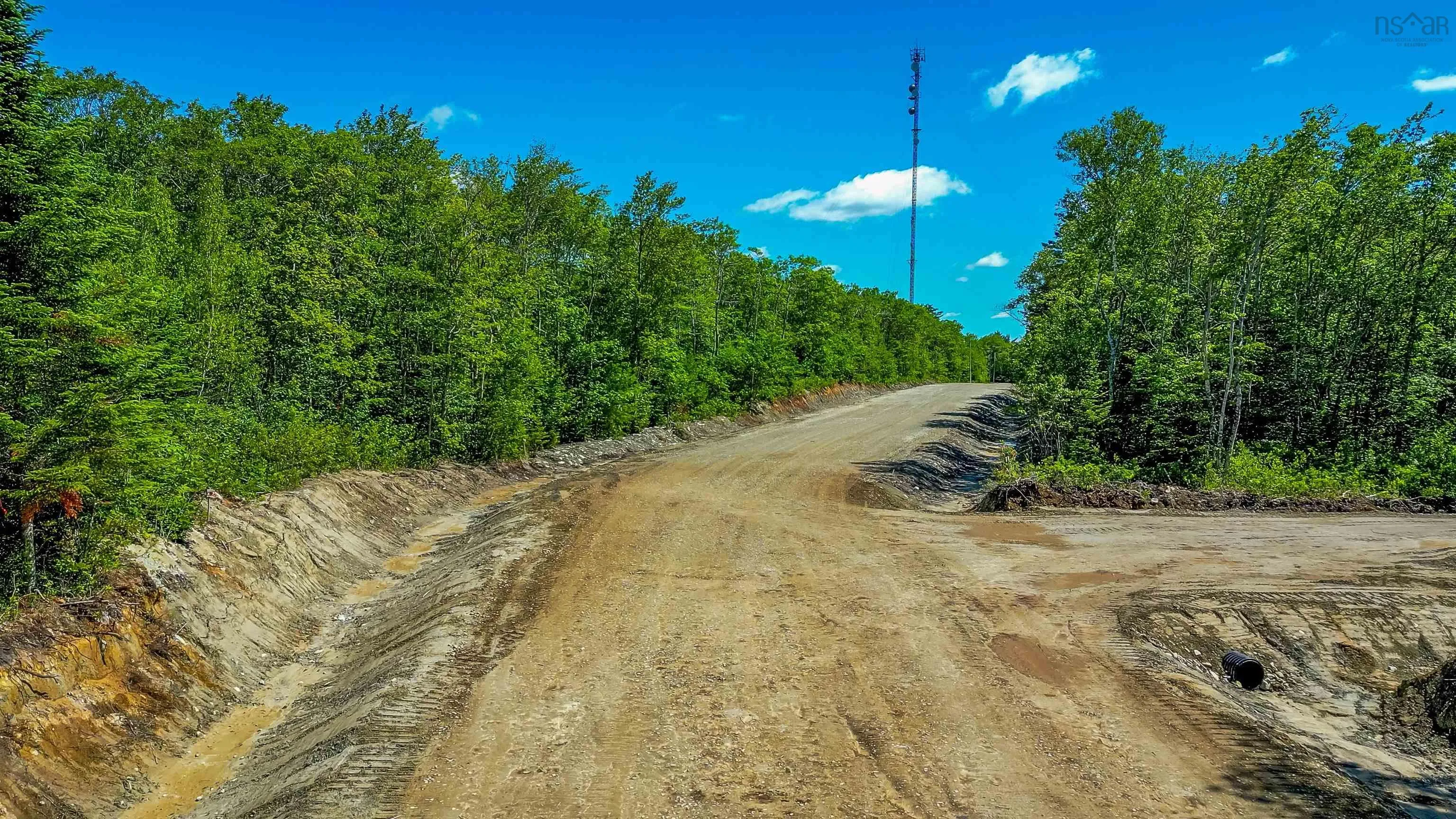 Morton Drive, Liverpool Ns B0t 1k0, ,Land,For Sale,Morton,202416089