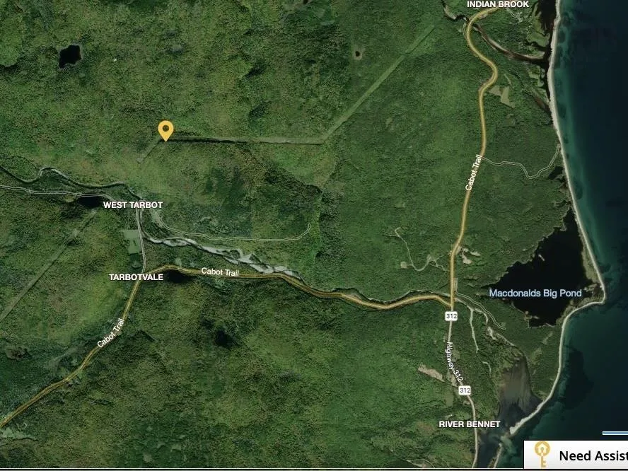 49 Rear Barachois Rd., Englishtown, NS B0E 1B0, 3 Bedrooms Bedrooms, ,2 BathroomsBathrooms,Residential,For Sale,Rear Barachois Rd.,202517095