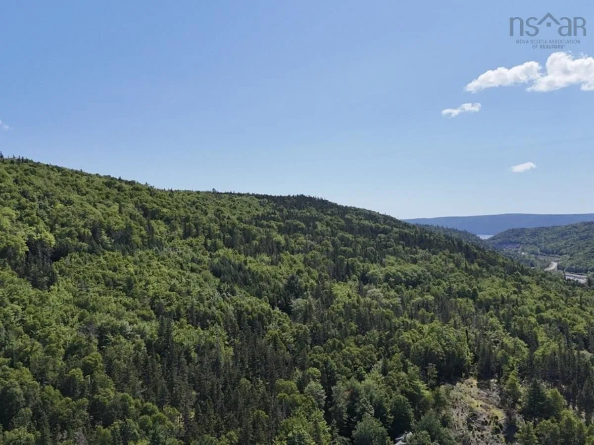 49 Rear Barachois Rd., Englishtown, NS B0E 1B0, 3 Bedrooms Bedrooms, ,2 BathroomsBathrooms,Residential,For Sale,Rear Barachois Rd.,202517095
