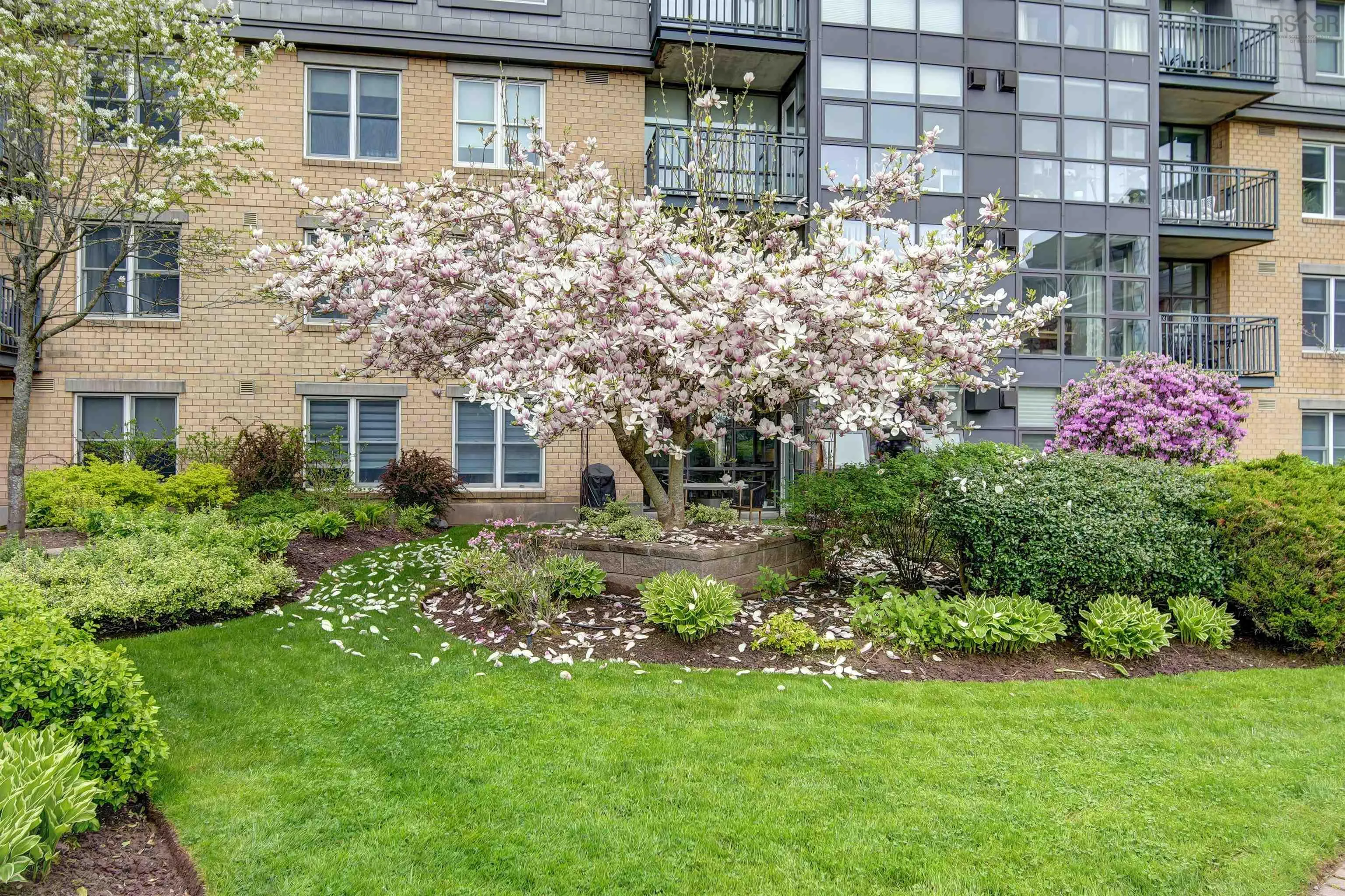 234-1477 Lower Water Street, Halifax, NS B3J 3Z4, 2 Bedrooms Bedrooms, ,2 BathroomsBathrooms,Residential,For Sale,Lower Water,202511538