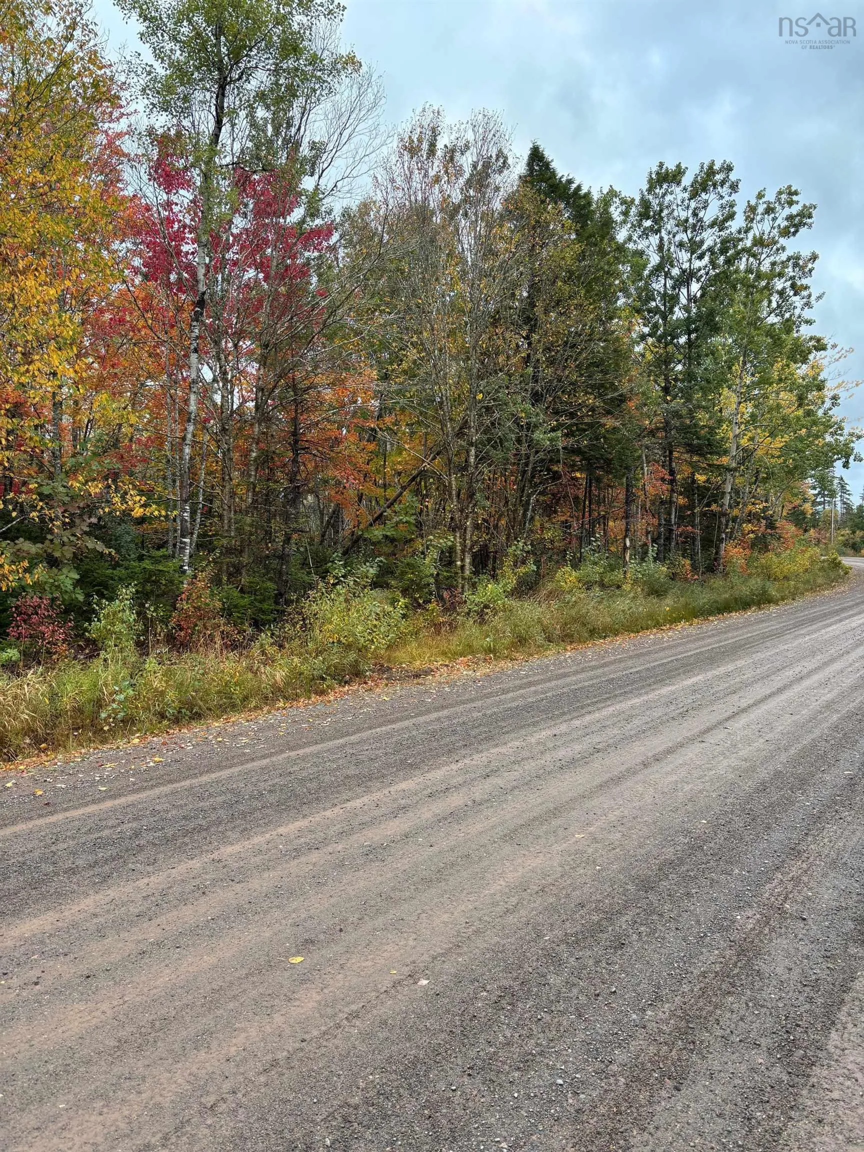Condon Road, Scotsburn, NS B0K 1R0, ,Land,For Sale,Condon,202525596