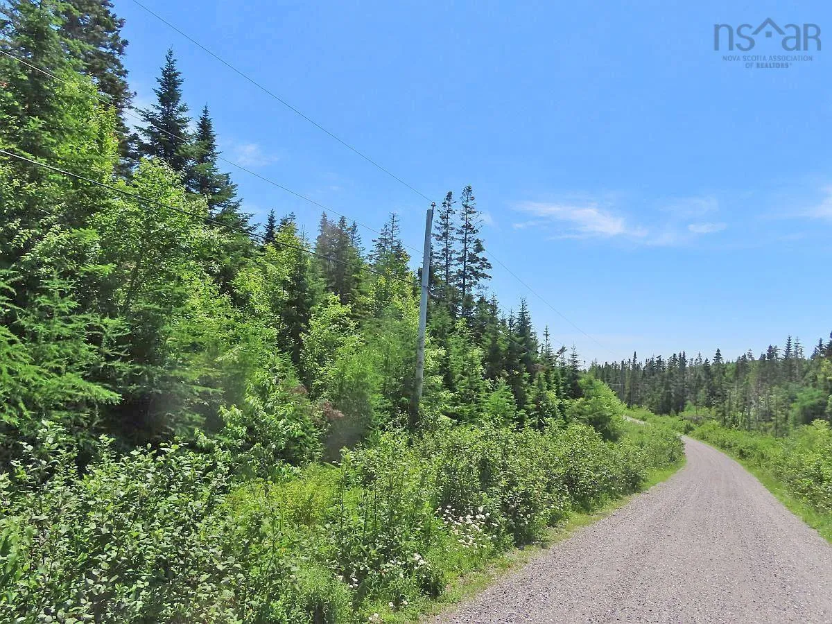 Lot 19 Joanne Langford Drive, French Road, NS B1K 3P9, ,Land,For Sale,Joanne Langford,202518867
