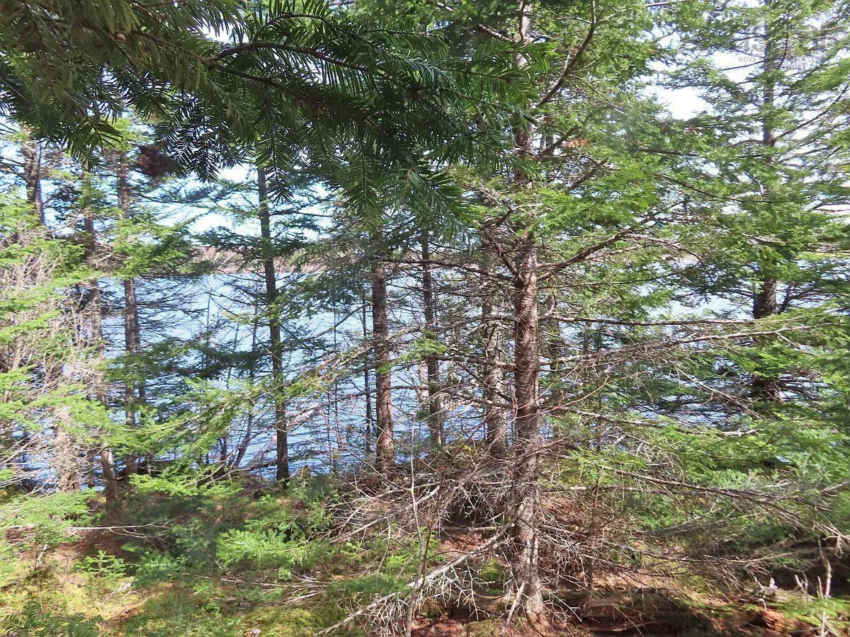 Lot 19 Joanne Langford Drive, French Road, NS B1K 3P9, ,Land,For Sale,Joanne Langford,202518867