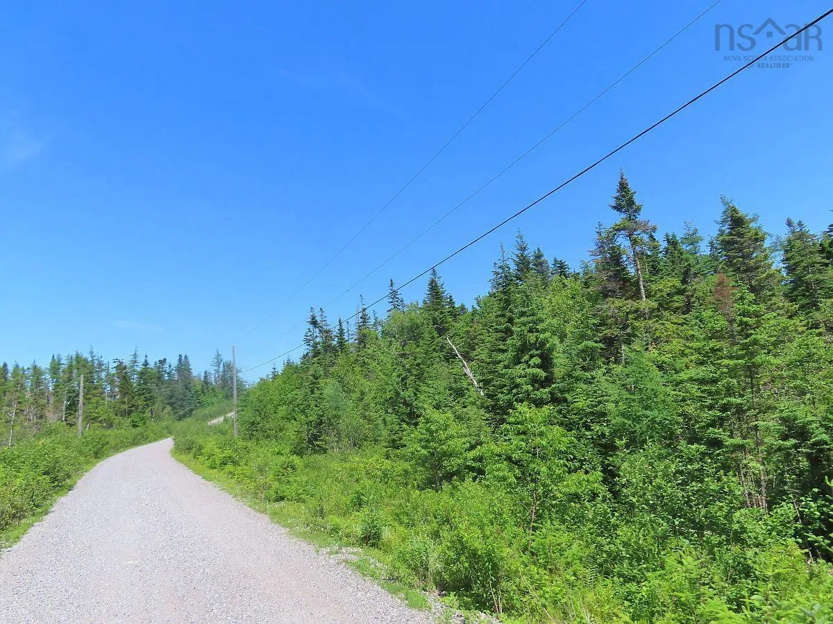 Lot 19 Joanne Langford Drive, French Road, NS B1K 3P9, ,Land,For Sale,Joanne Langford,202518867