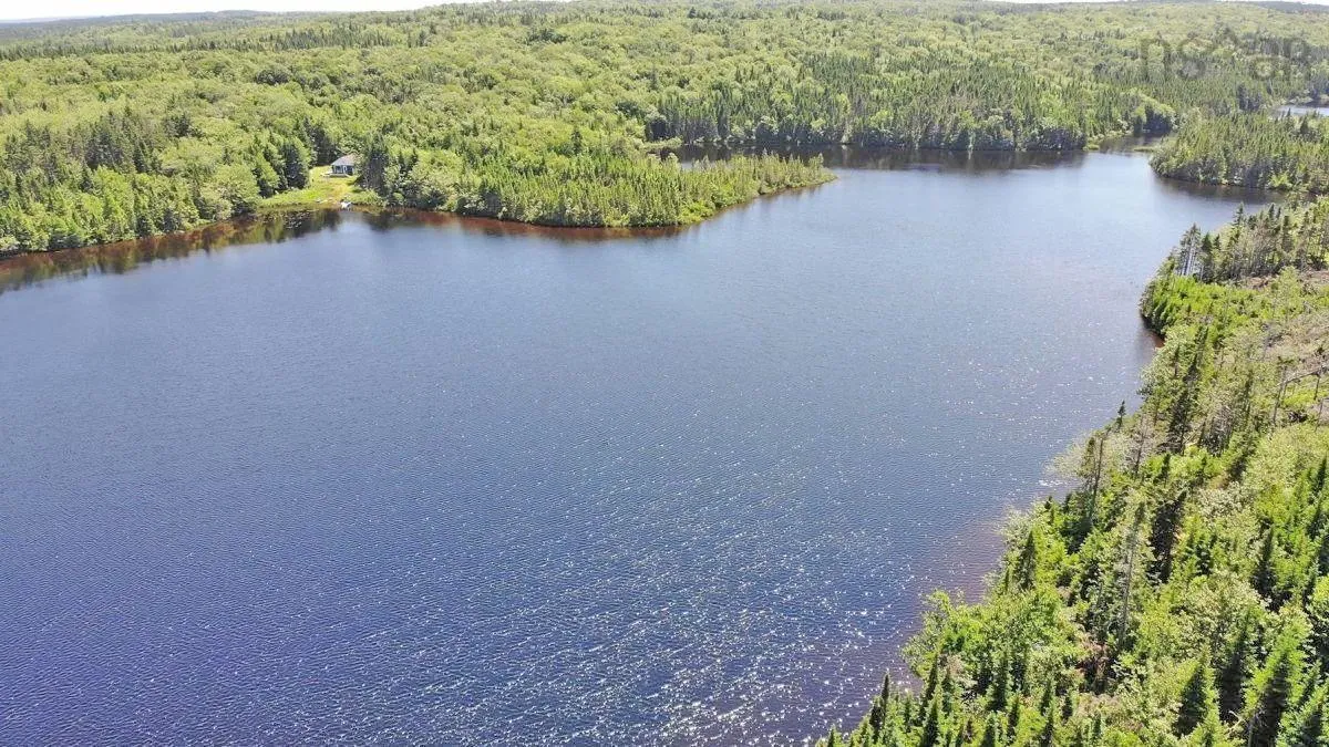 Lot 19 Joanne Langford Drive, French Road, NS B1K 3P9, ,Land,For Sale,Joanne Langford,202518867