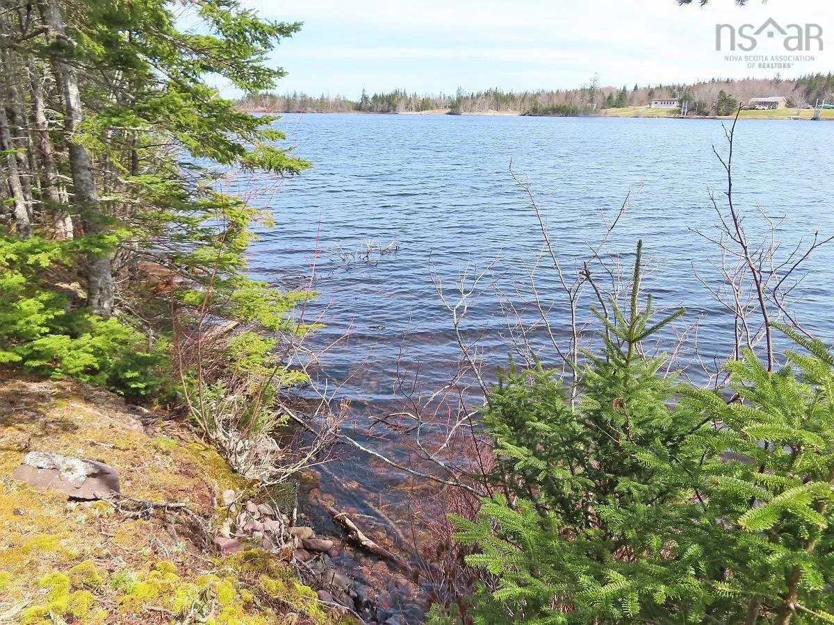 Lot 19 Joanne Langford Drive, French Road, NS B1K 3P9, ,Land,For Sale,Joanne Langford,202518867