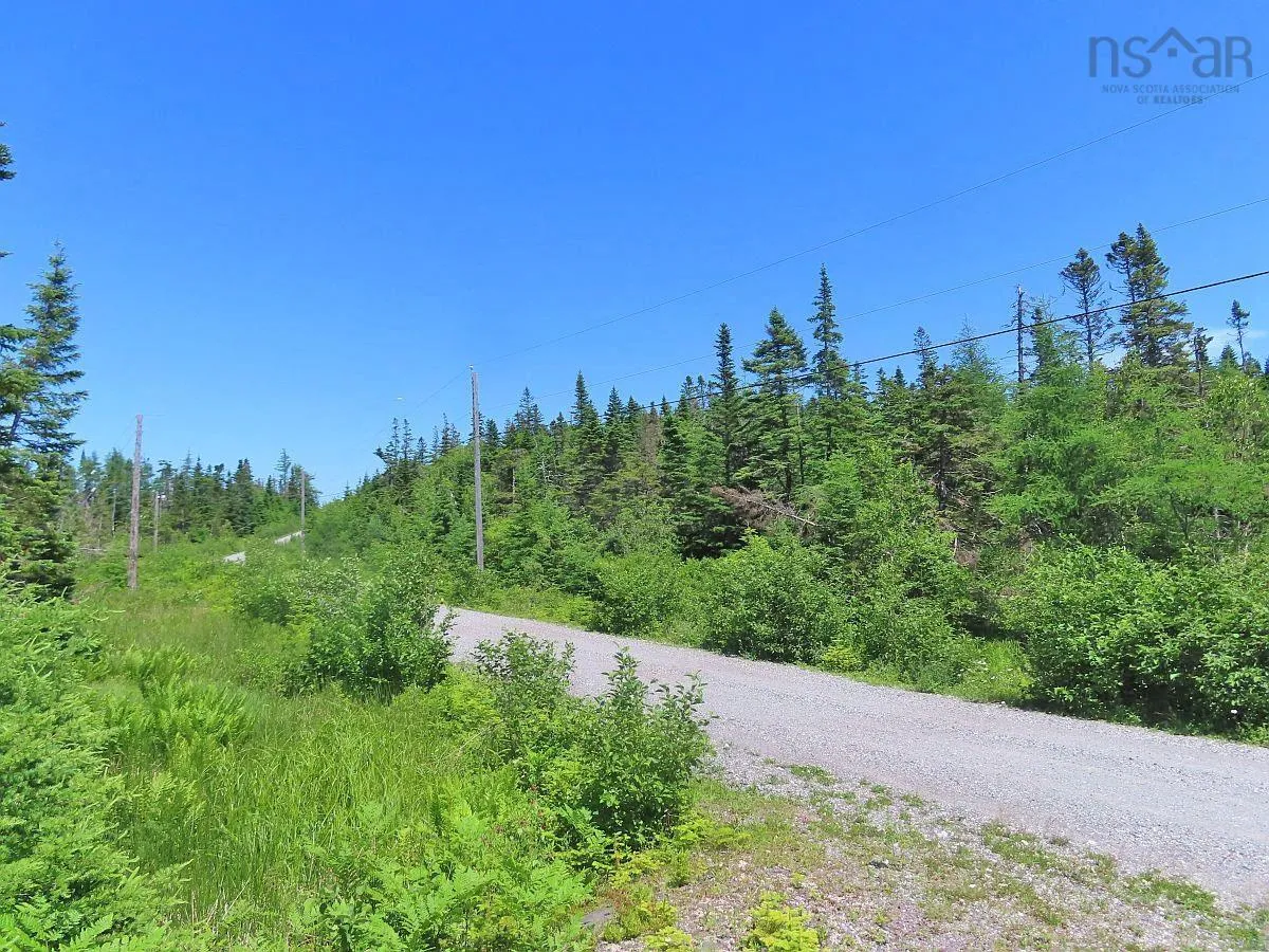 Lot 19 Joanne Langford Drive, French Road, NS B1K 3P9, ,Land,For Sale,Joanne Langford,202518867