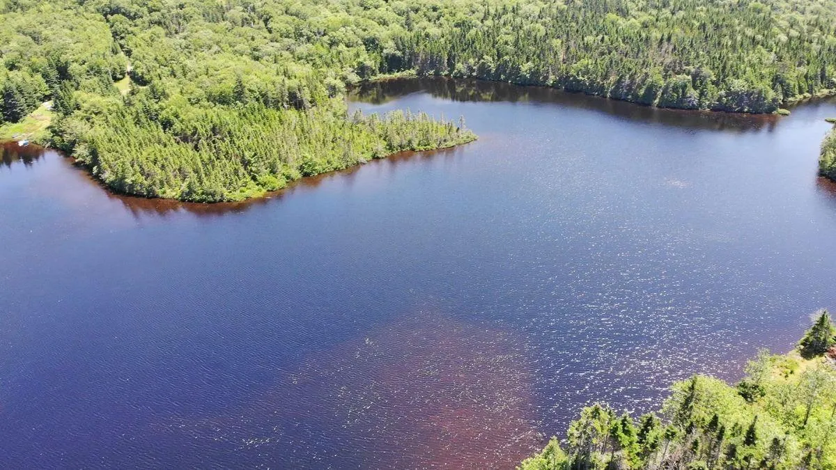 Lot 19 Joanne Langford Drive, French Road, NS B1K 3P9, ,Land,For Sale,Joanne Langford,202518867