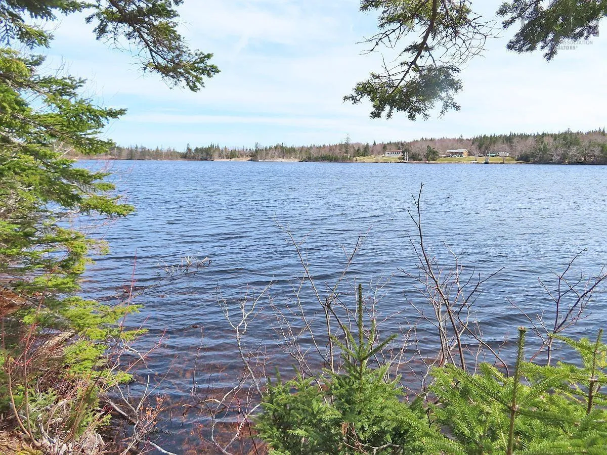 Lot 19 Joanne Langford Drive, French Road, NS B1K 3P9, ,Land,For Sale,Joanne Langford,202518867