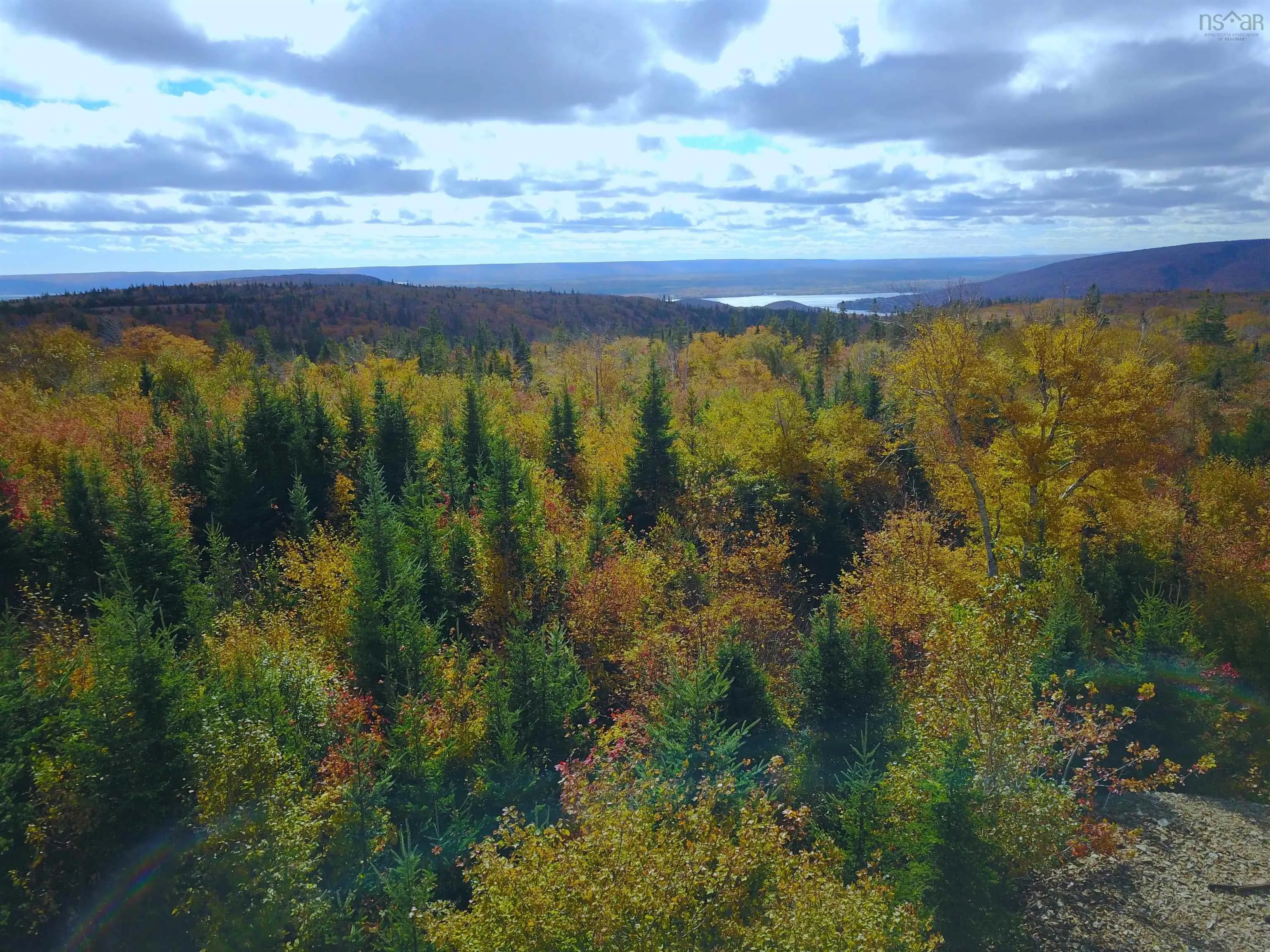 901 Whycocomagh Mountain Road, Whycocomagh Ns B0e 3m0, ,Commercial Sale,For Sale,Whycocomagh Mountain,202424988